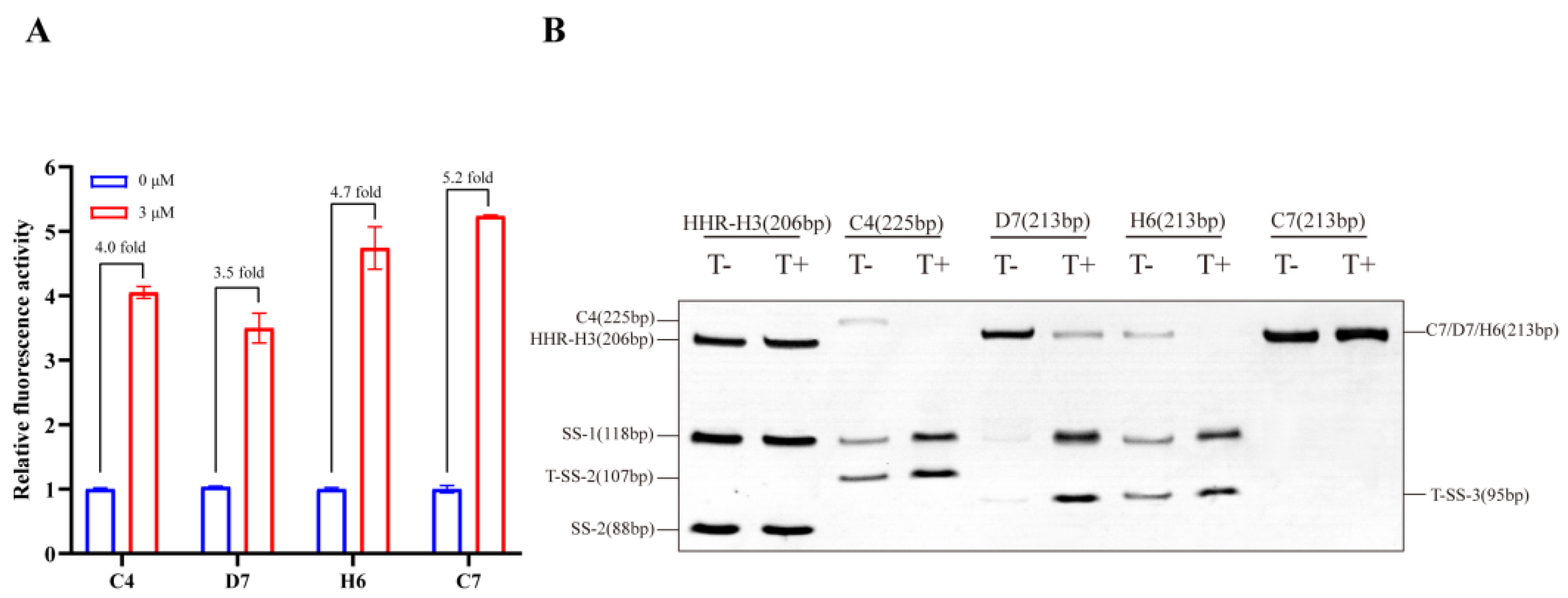 Life 13 01553 g004 Life 13 01553 g004