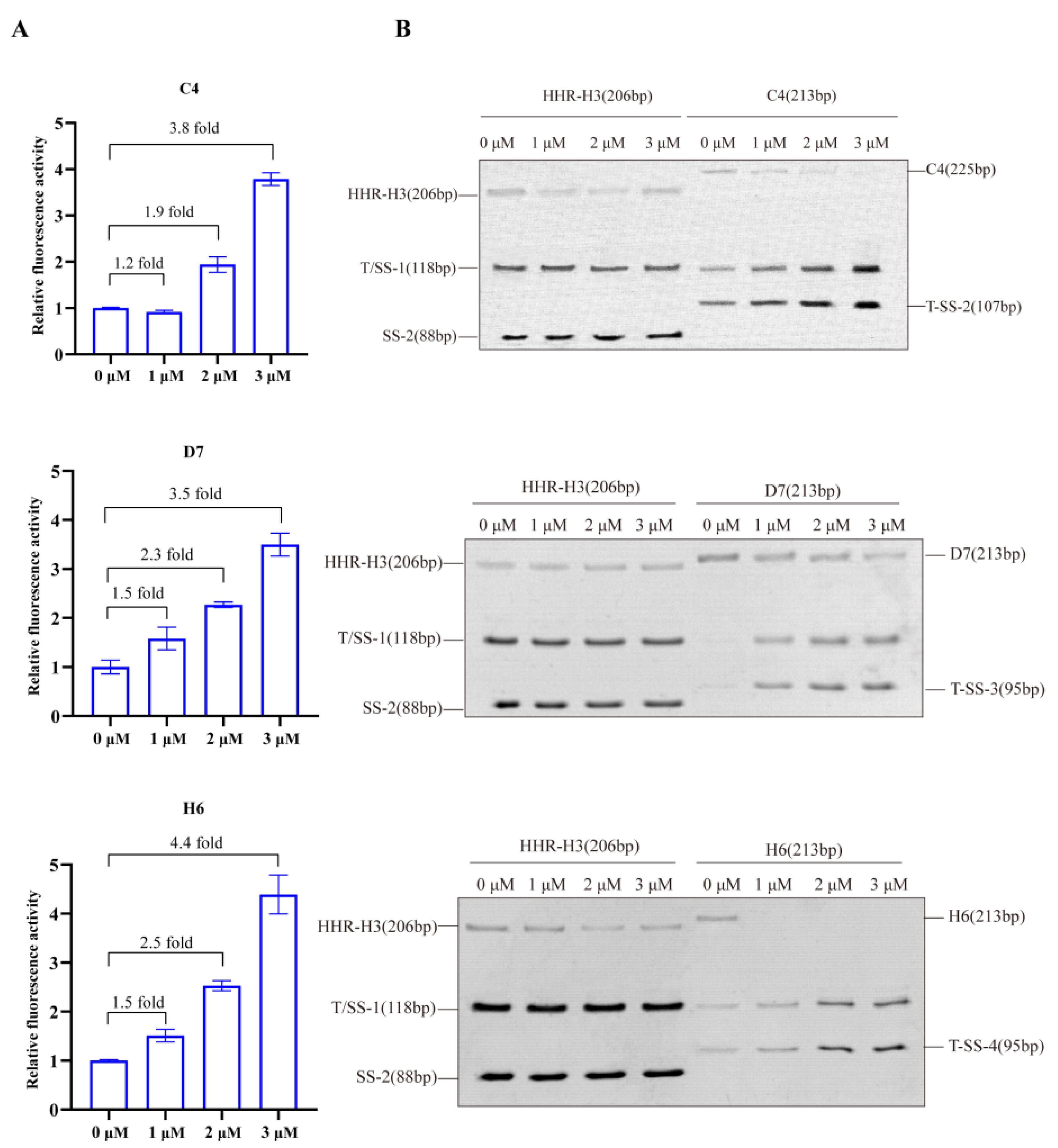 Life 13 01553 g005 Life 13 01553 g005