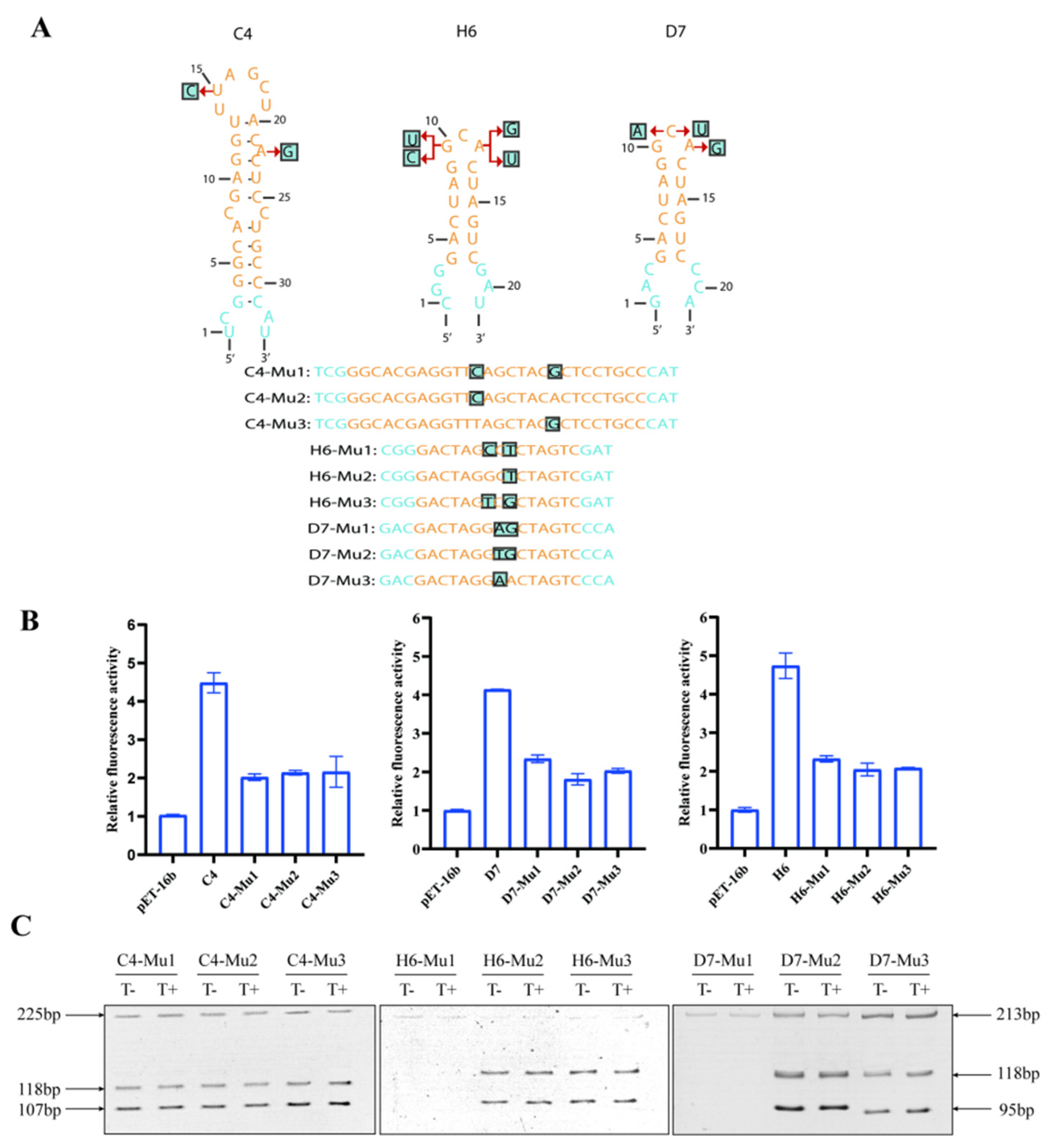 Life 13 01553 g006 Life 13 01553 g006
