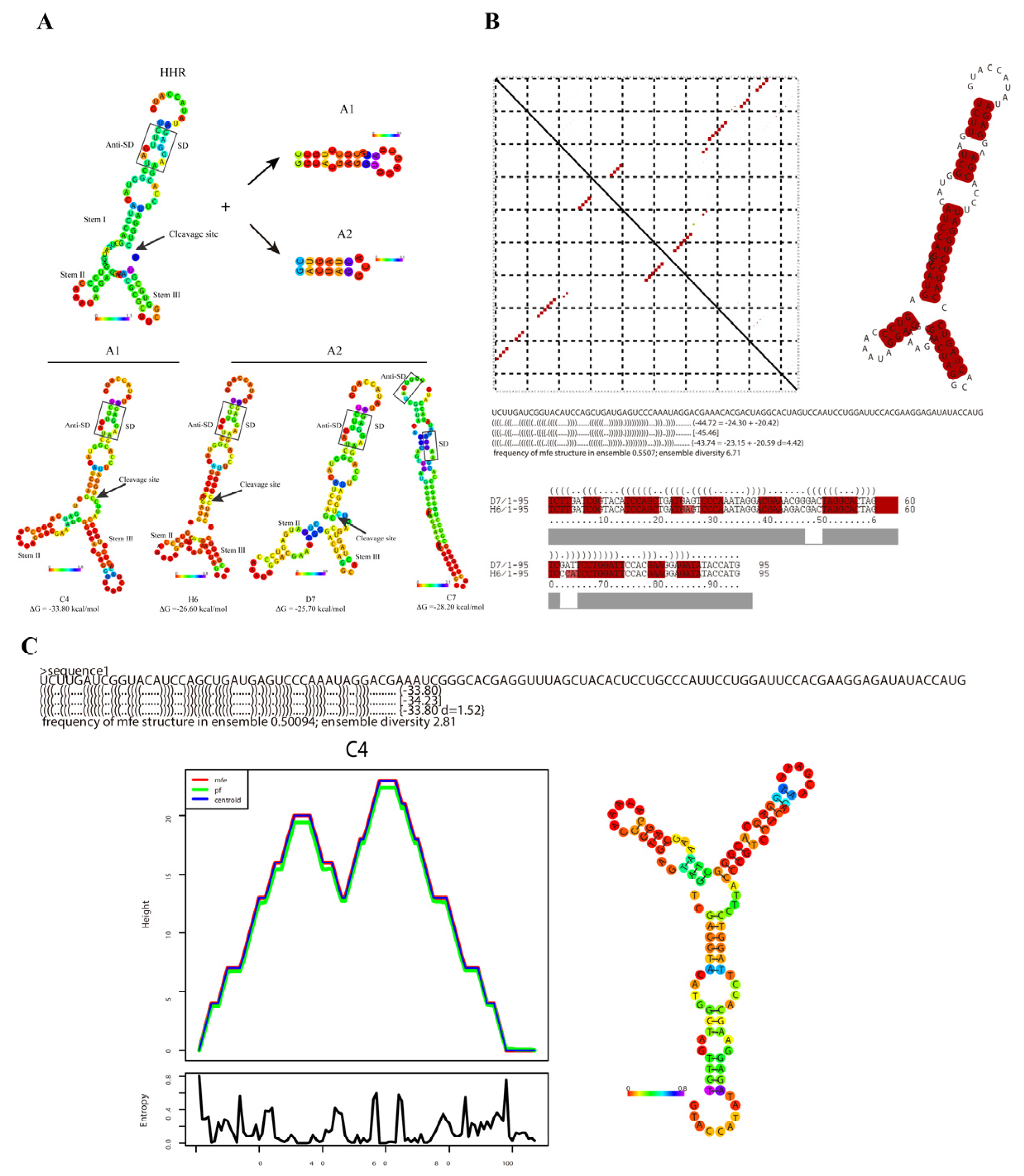 Life 13 01553 g007 Life 13 01553 g007