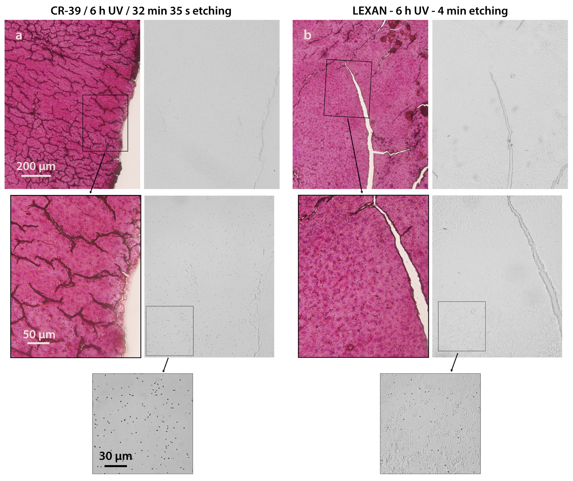 Life 13 01578 g005 Life 13 01578 g005