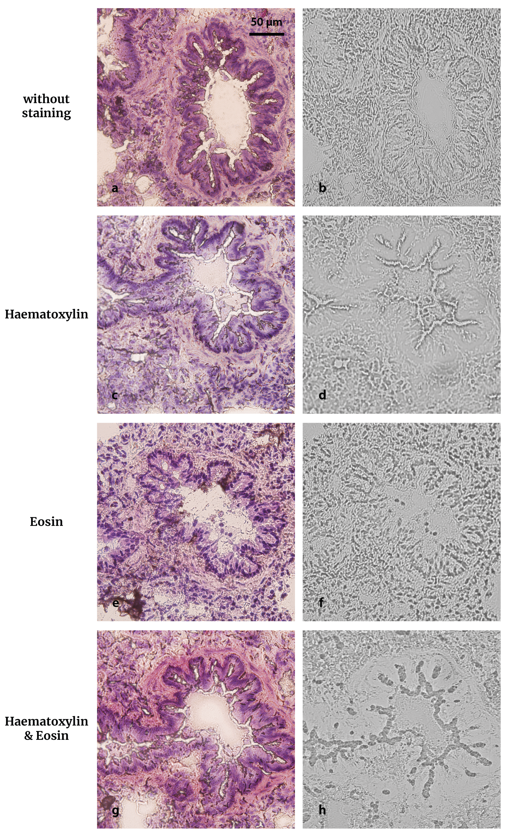 Life 13 01578 g011 Life 13 01578 g011