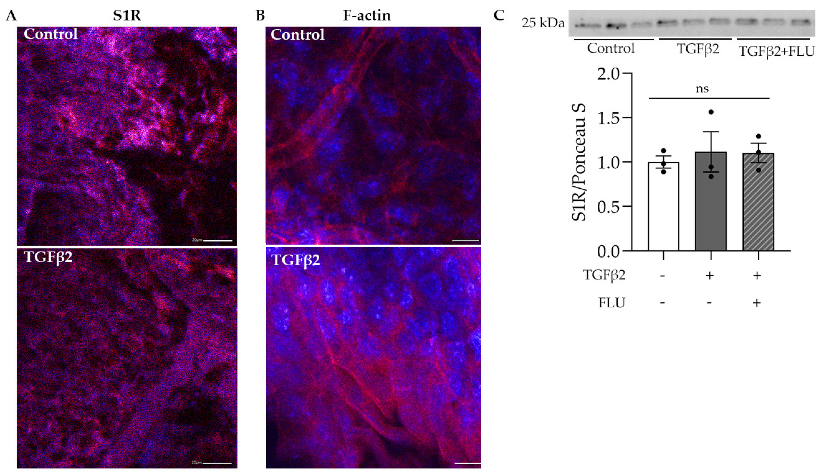 Life 13 01581 g001 Life 13 01581 g001