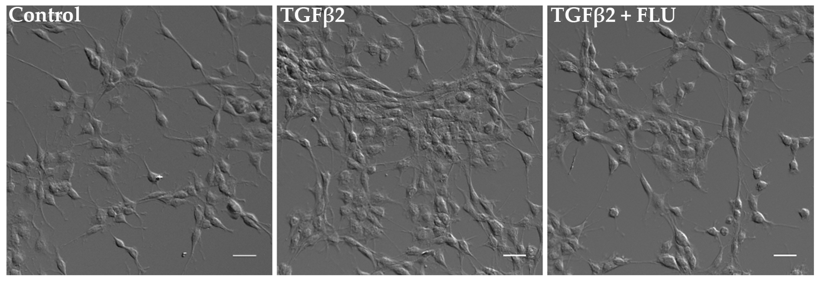 Life 13 01581 g003 Life 13 01581 g003