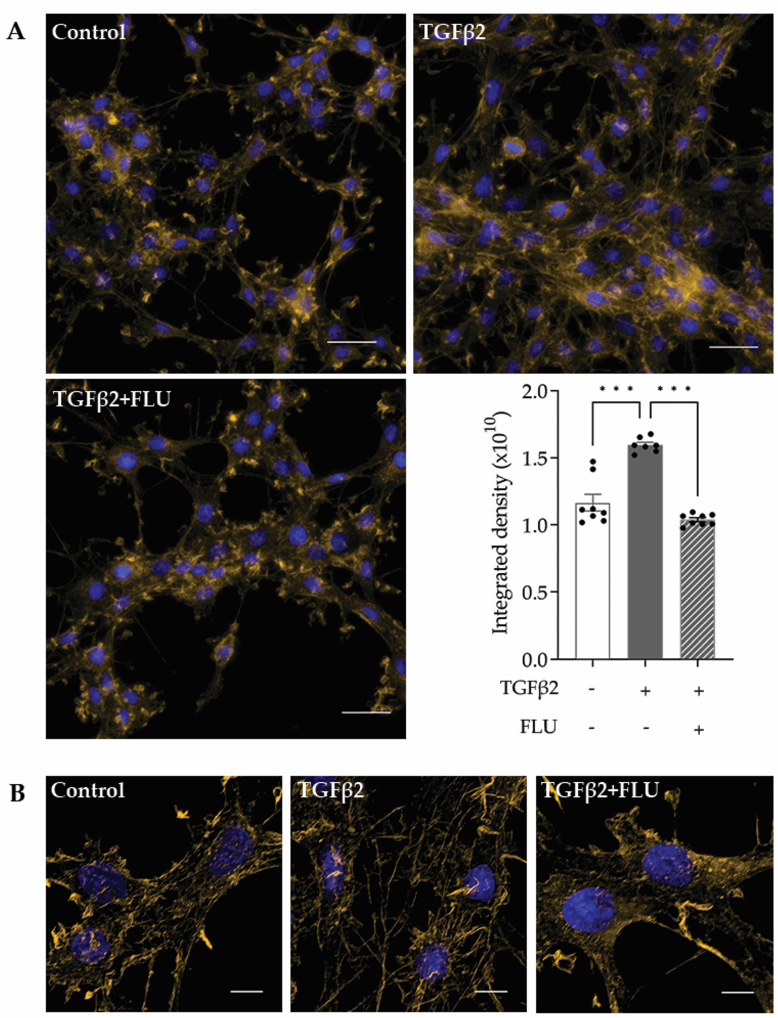 Life 13 01581 g004 Life 13 01581 g004