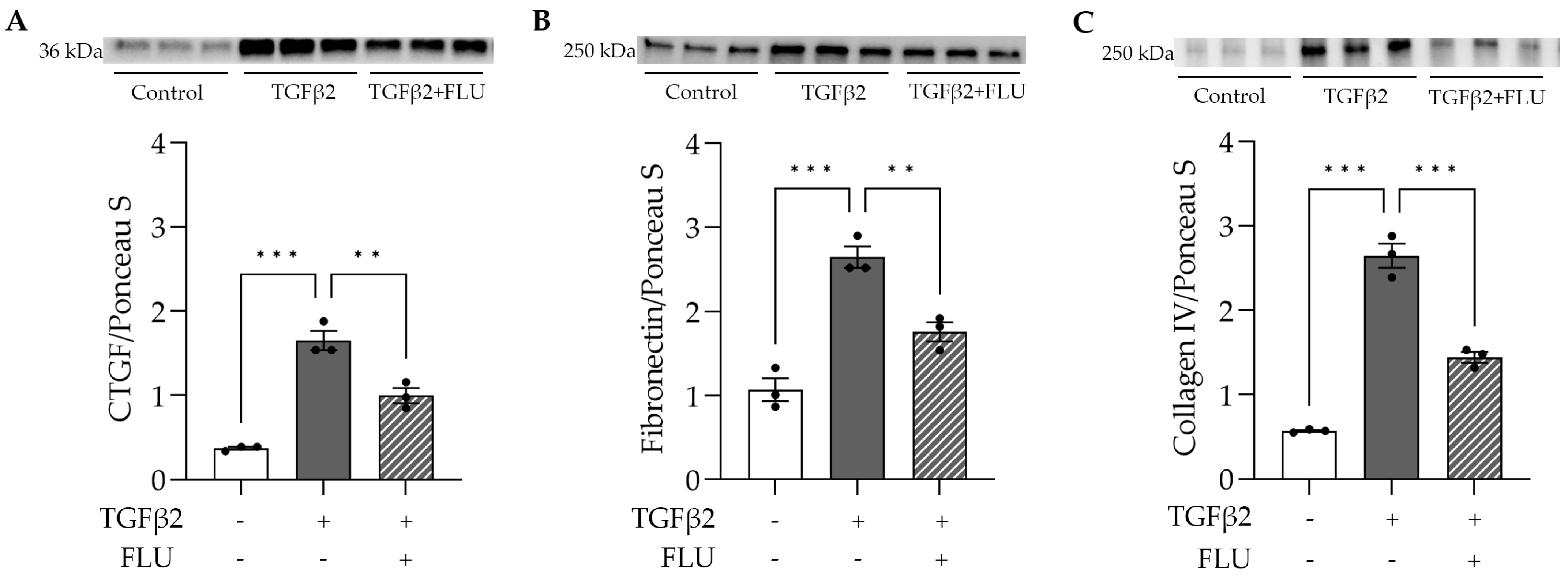 Life 13 01581 g005 Life 13 01581 g005