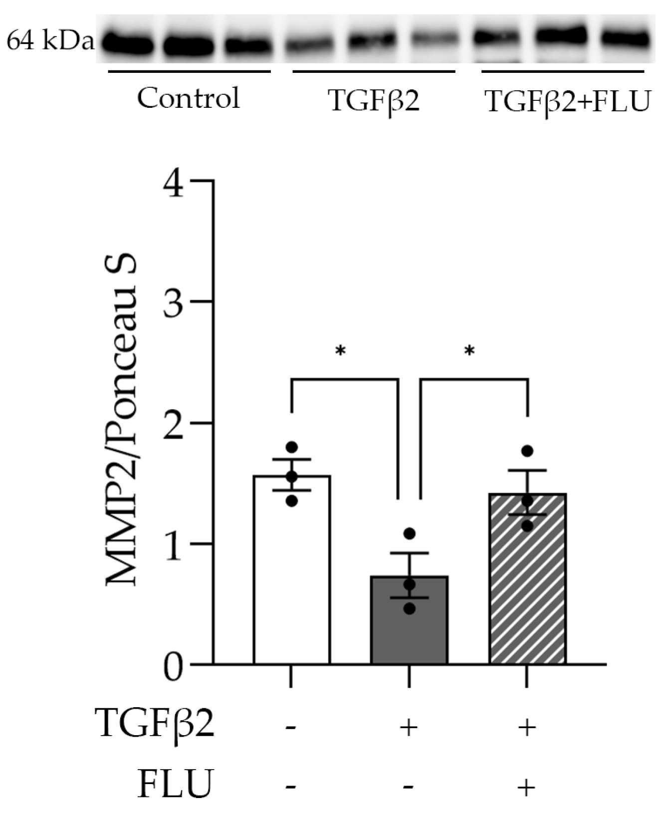 Life 13 01581 g006 Life 13 01581 g006