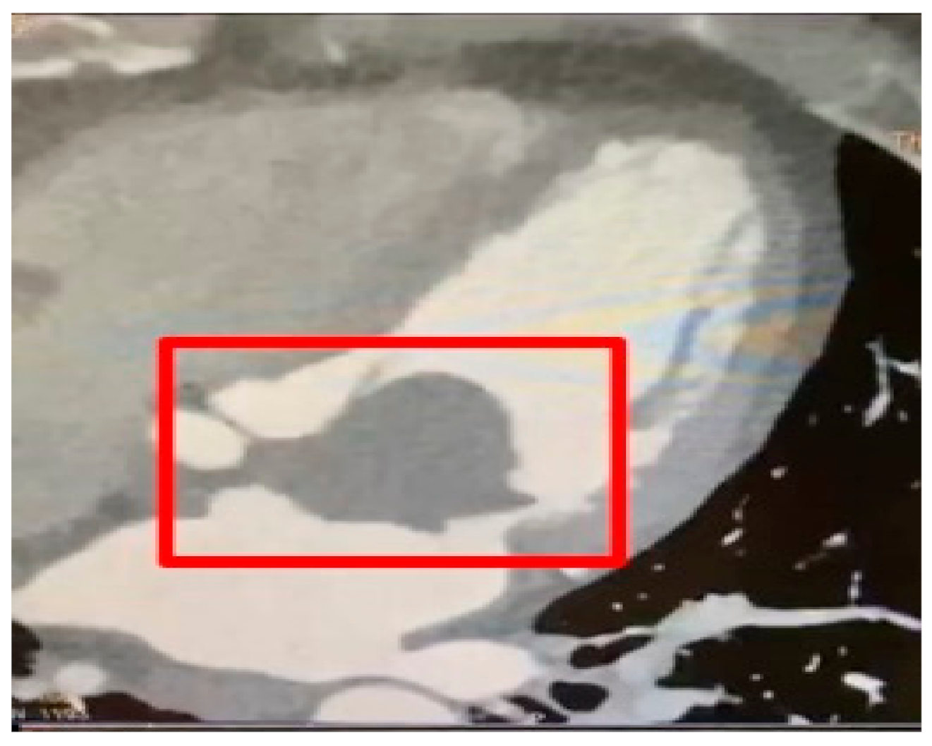 Life 13 01585 g003 Life 13 01585 g003