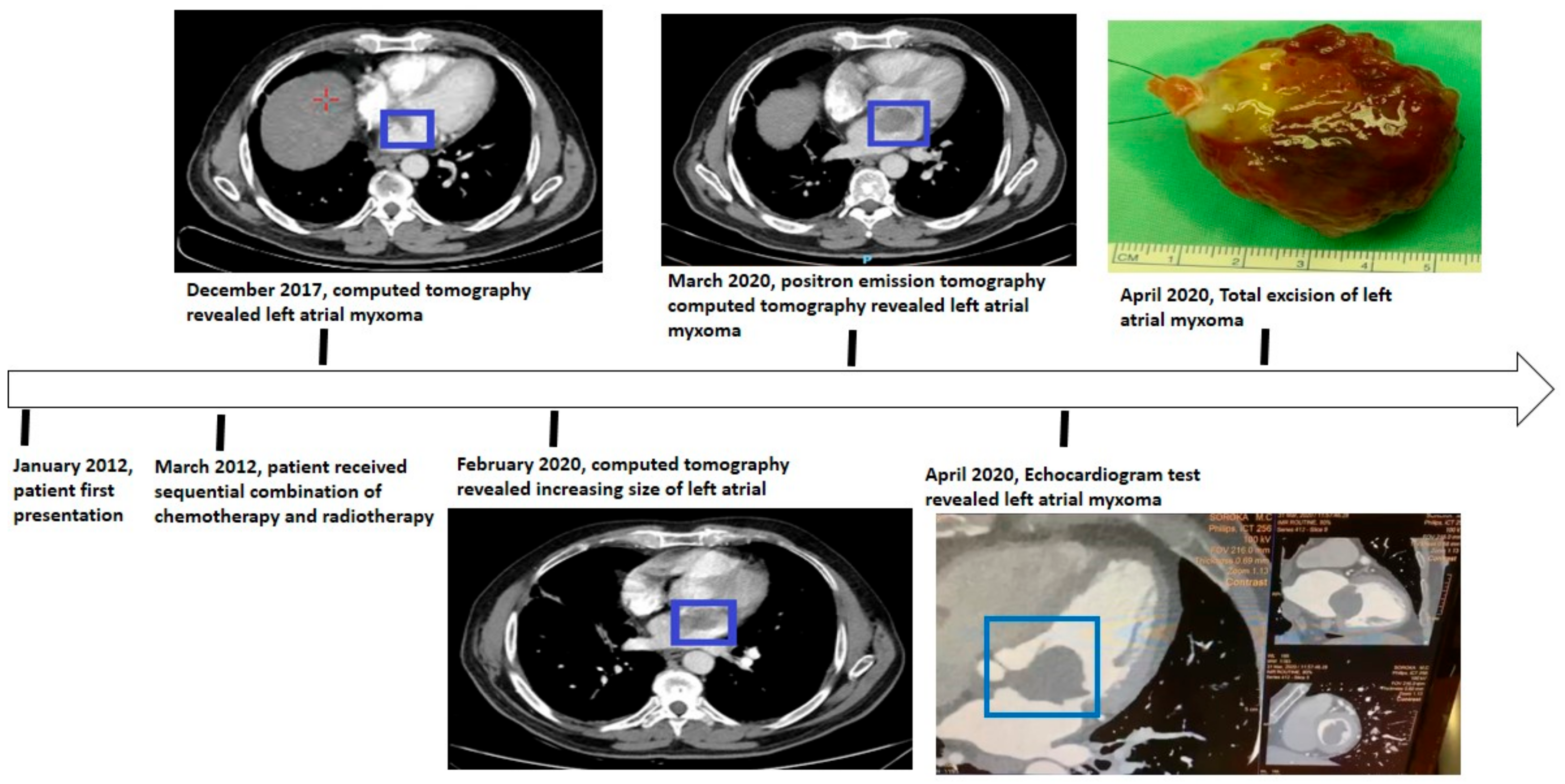 Life 13 01585 g005 Life 13 01585 g005
