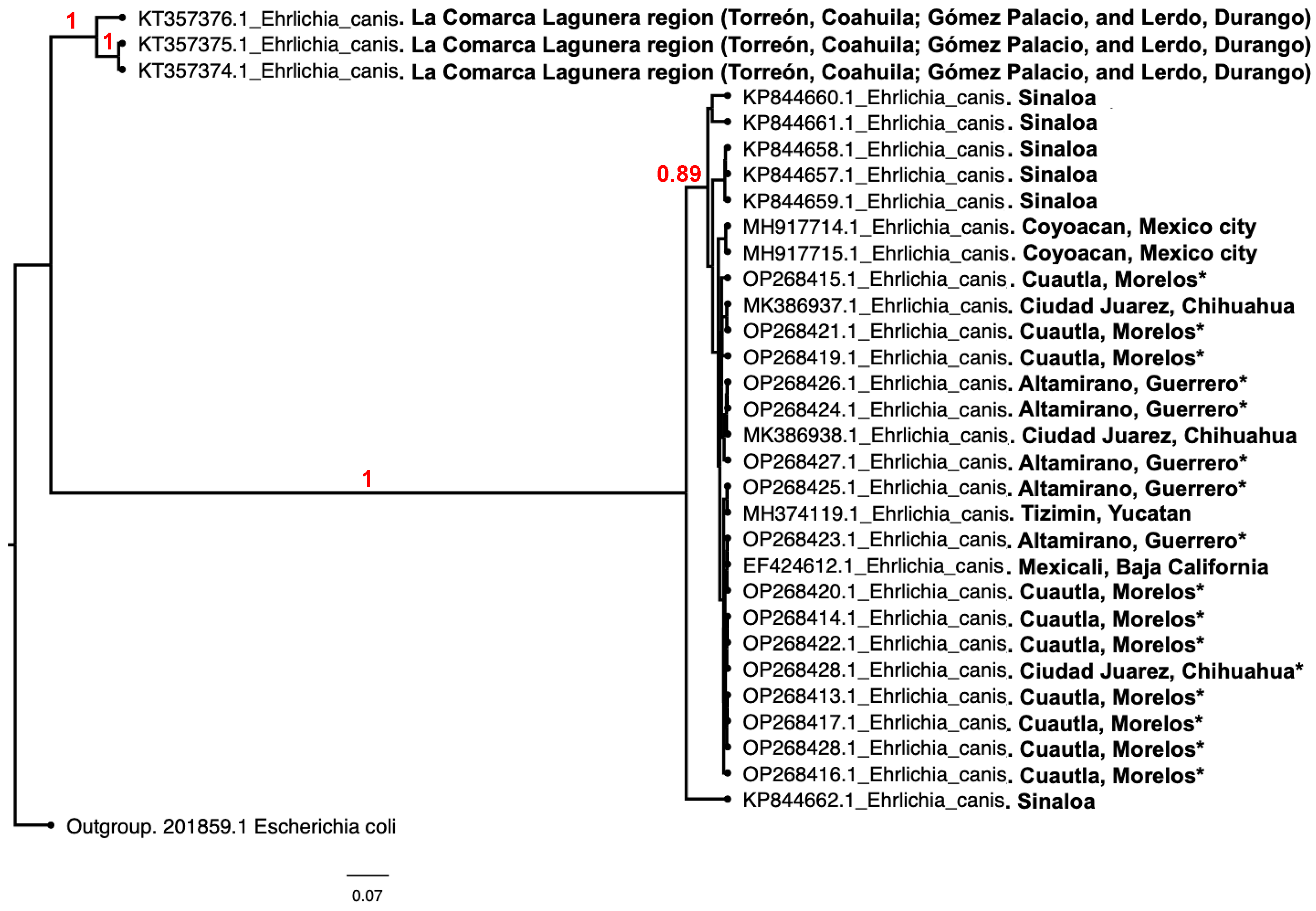 Life 13 01629 g001 Life 13 01629 g001