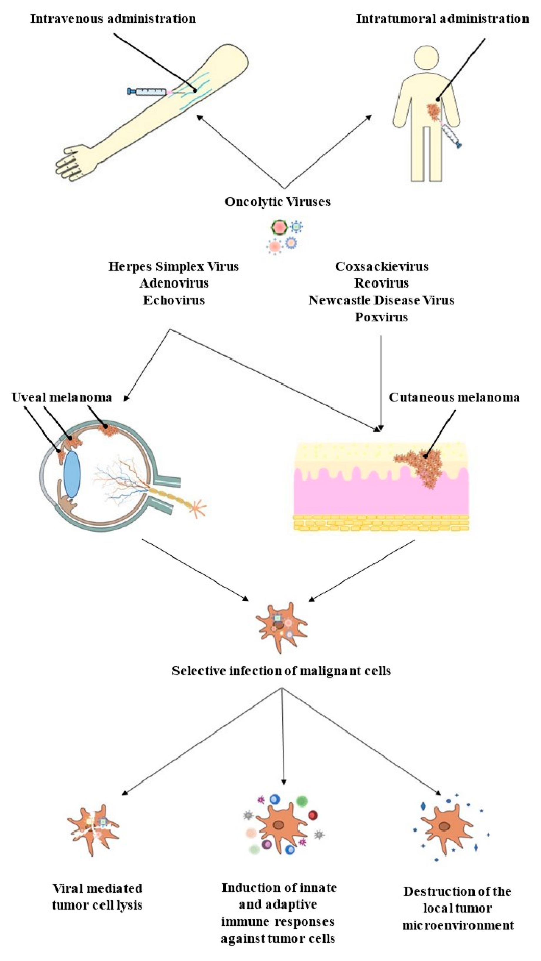 Life 13 01666 g001 Life 13 01666 g001