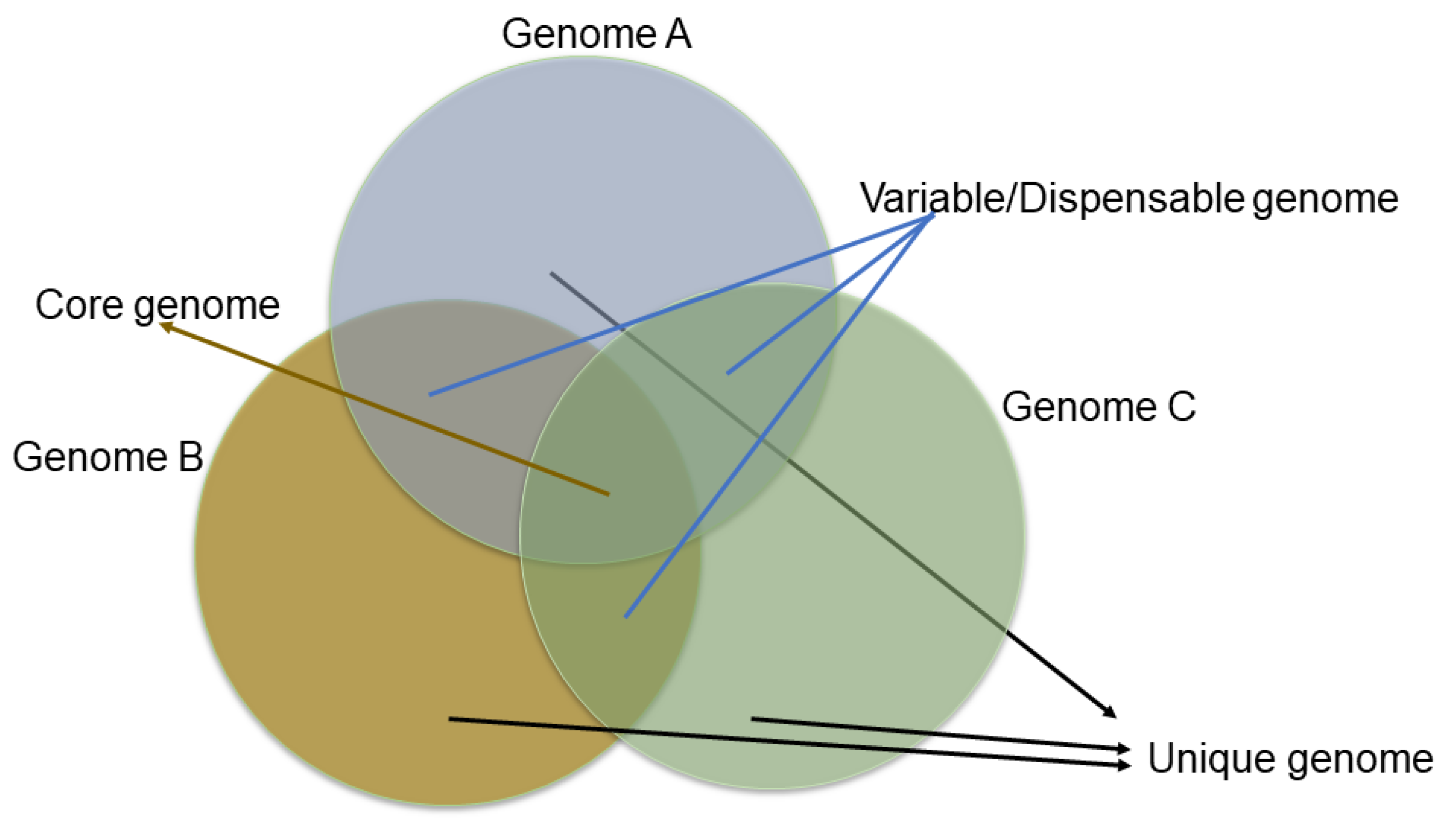 Life 13 01668 g006 Life 13 01668 g006