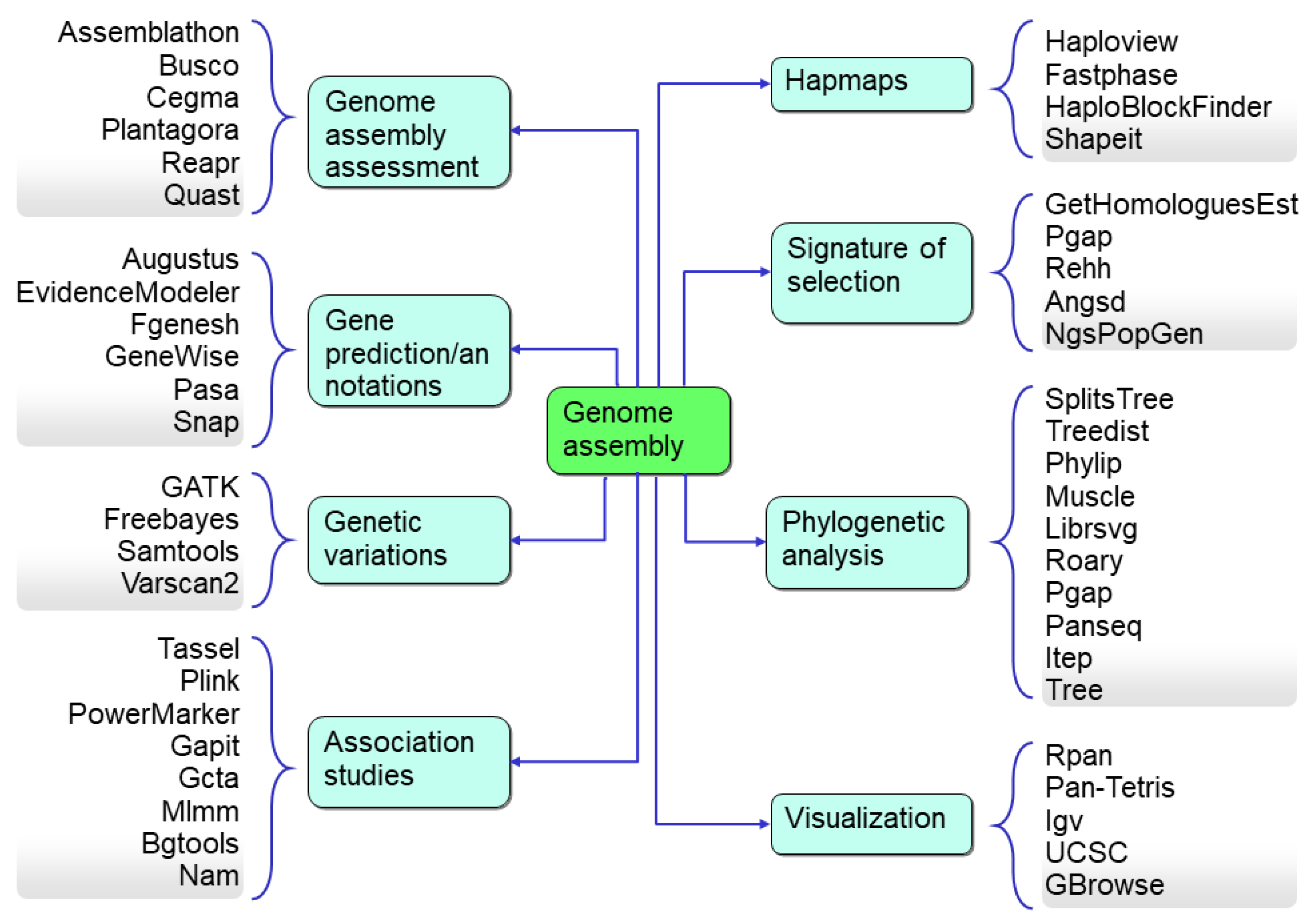 Life 13 01668 g007 Life 13 01668 g007