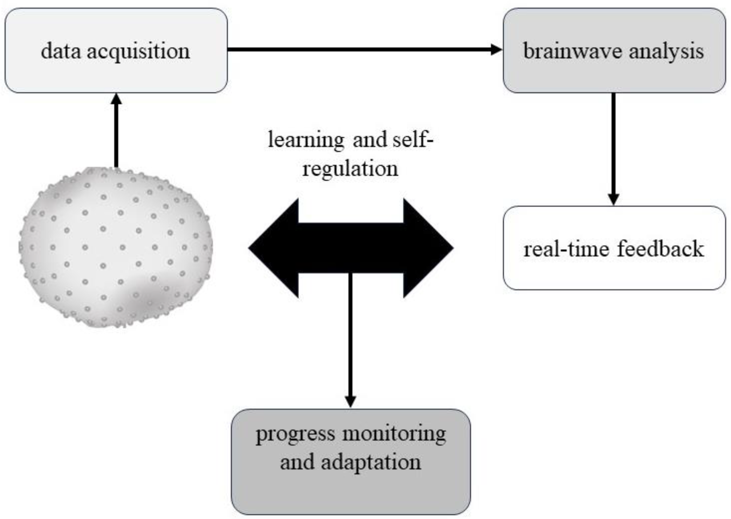 Life 13 01675 g001 Life 13 01675 g001