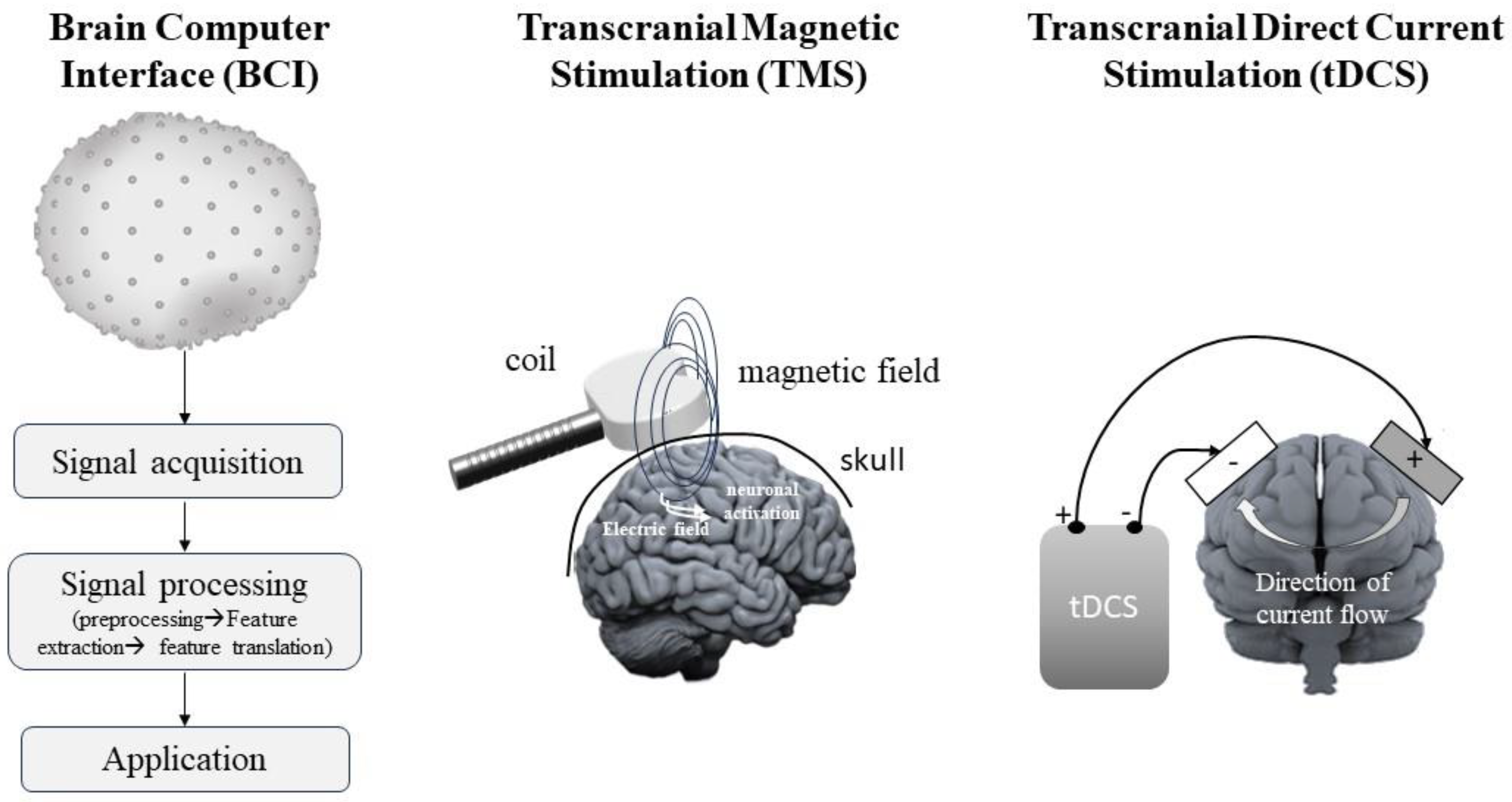 Life 13 01675 g002 Life 13 01675 g002