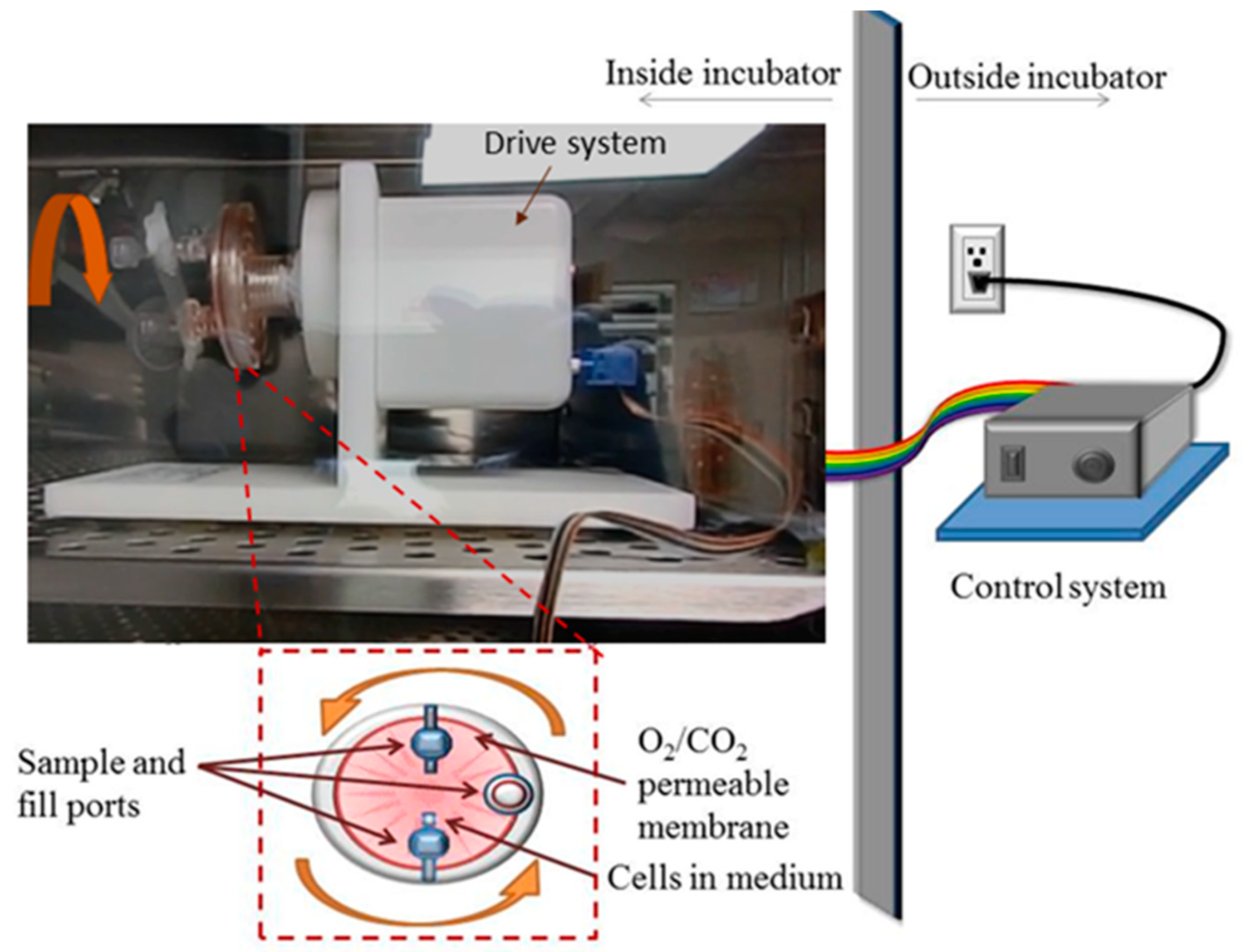 Life 13 01683 g001 Life 13 01683 g001