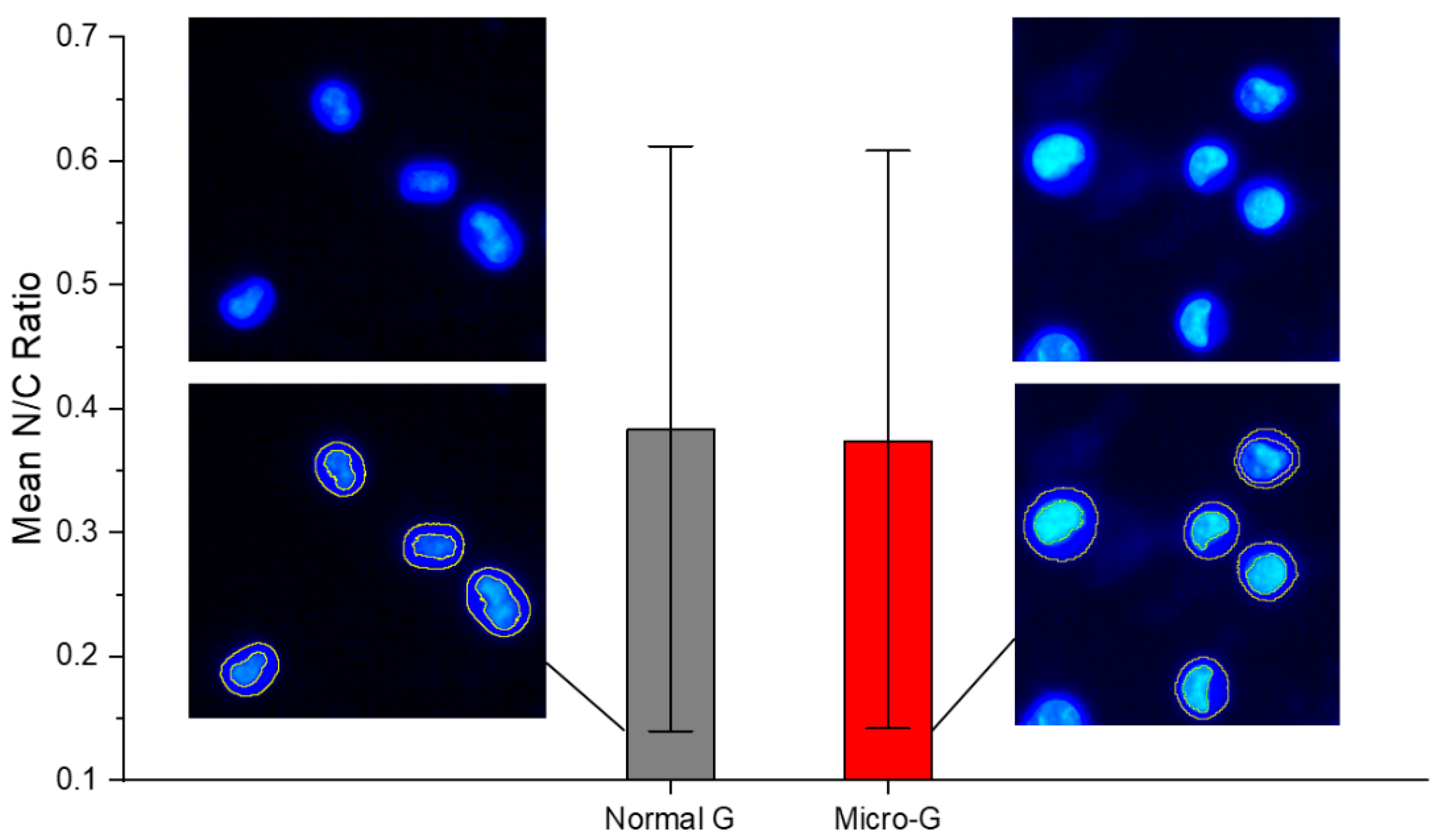 Life 13 01683 g003 Life 13 01683 g003