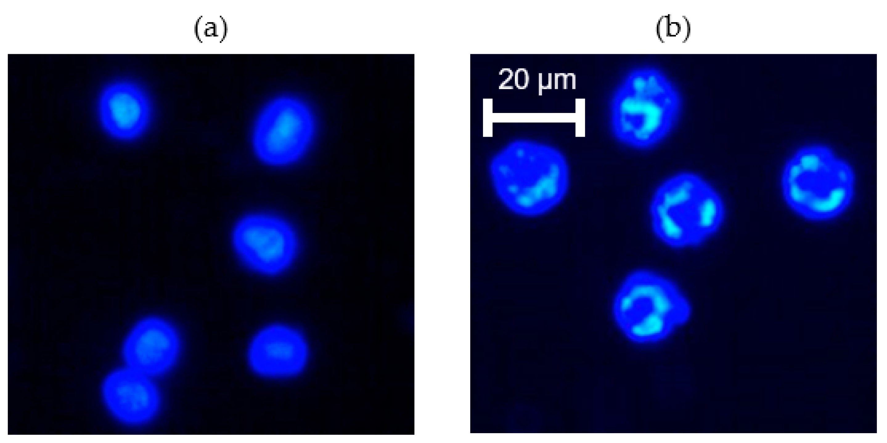 Life 13 01683 g005 Life 13 01683 g005