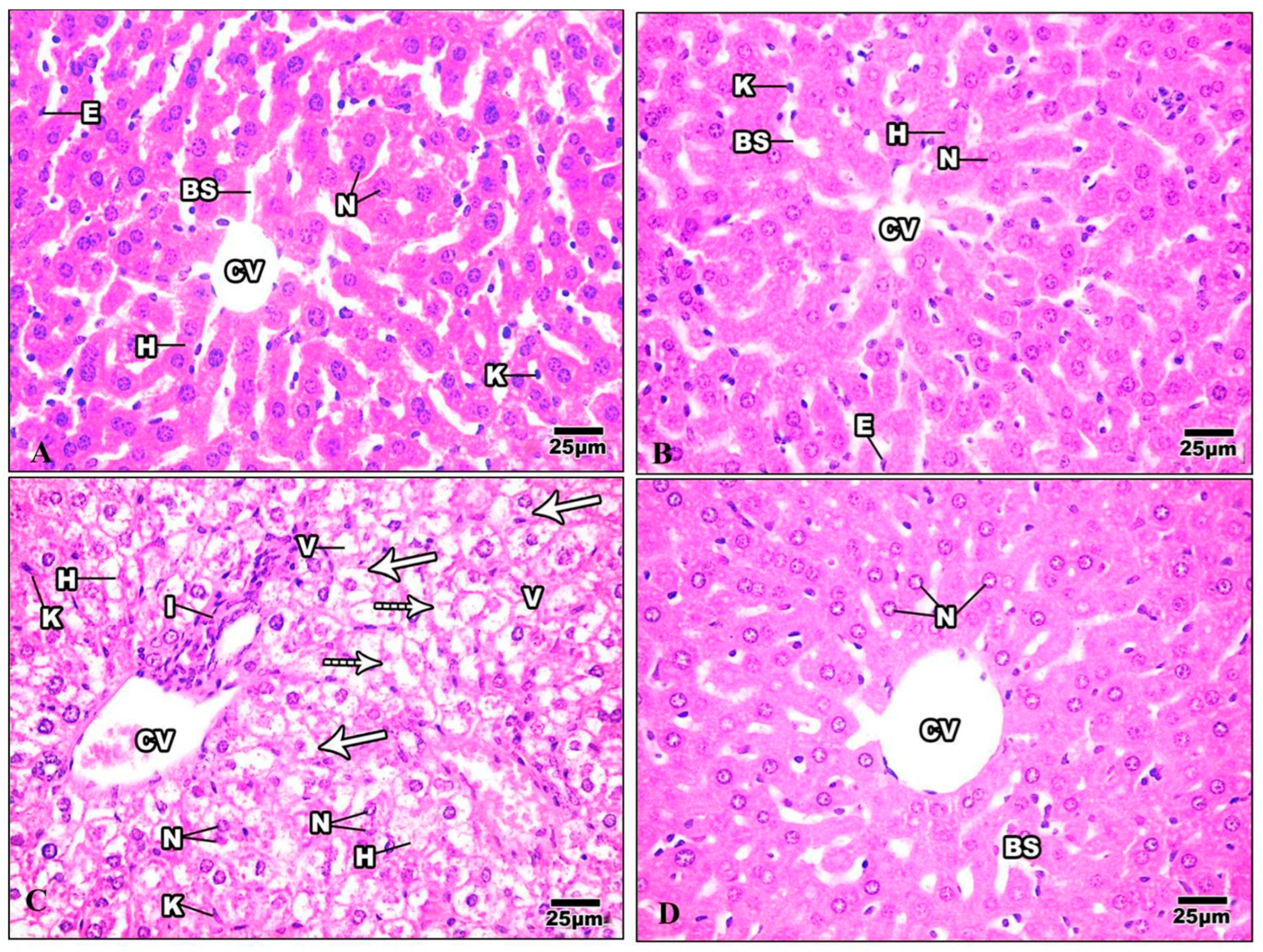 Life 13 01693 g009 Life 13 01693 g009