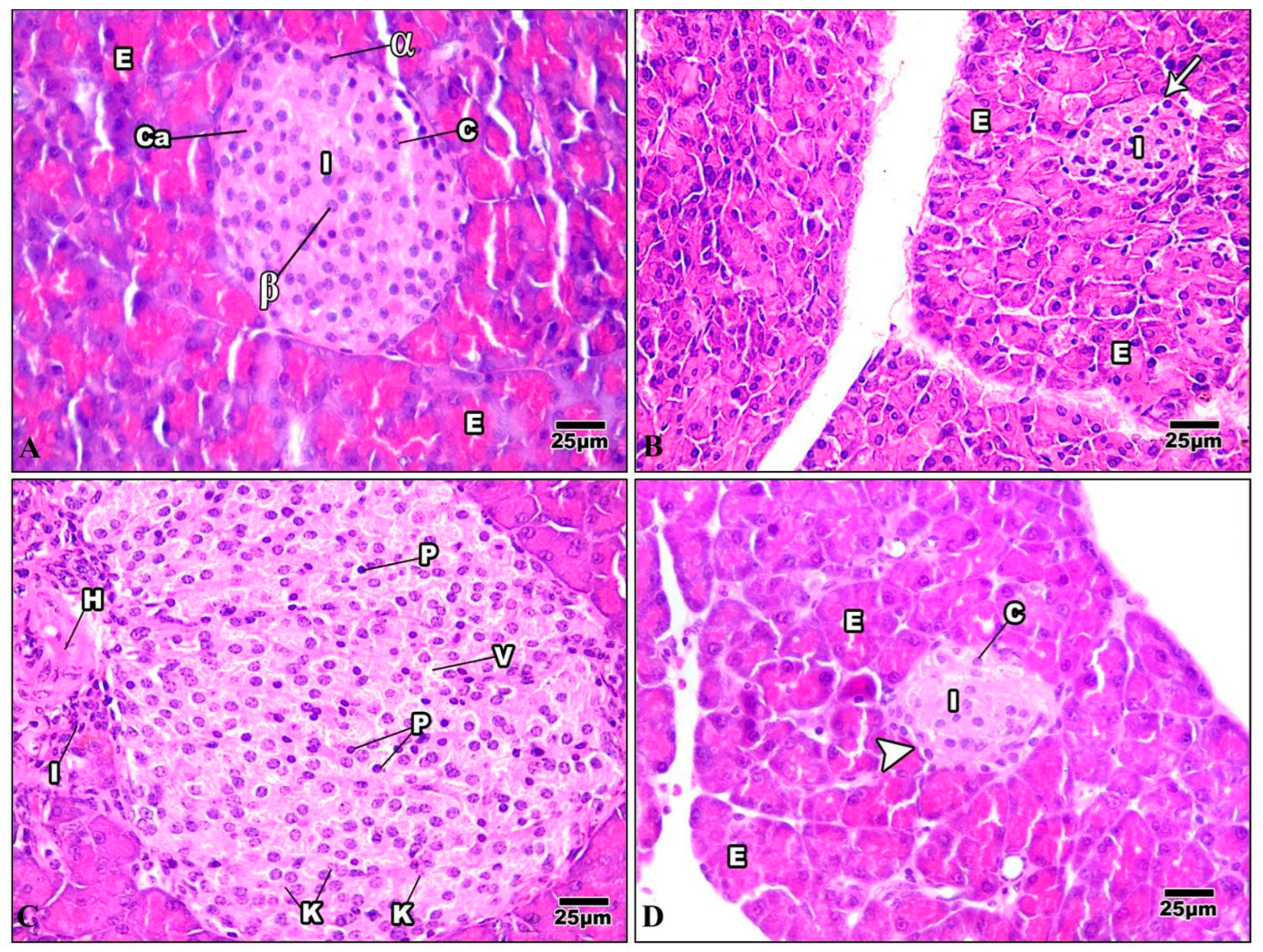 Life 13 01693 g011 Life 13 01693 g011
