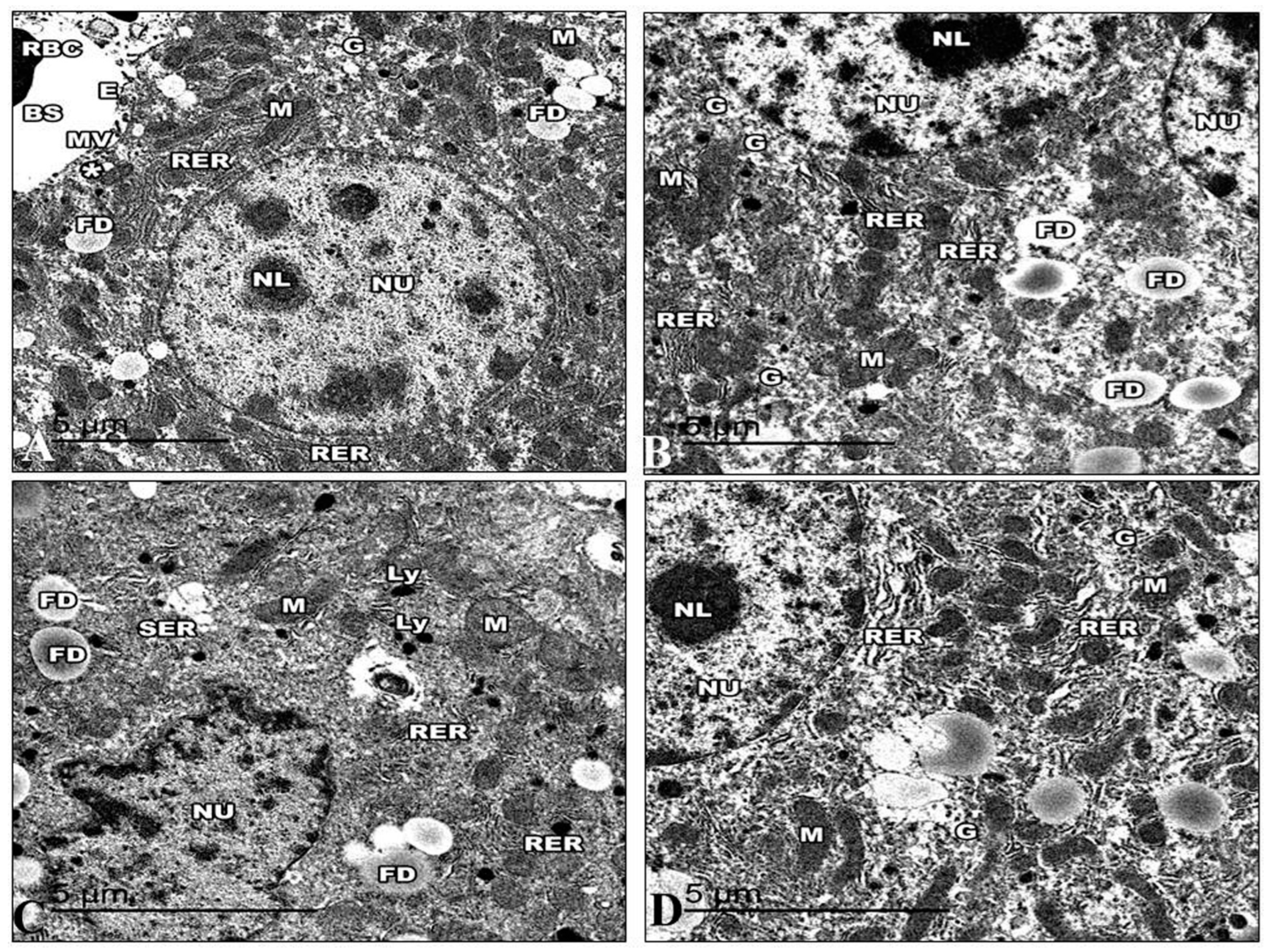 Life 13 01693 g013 Life 13 01693 g013
