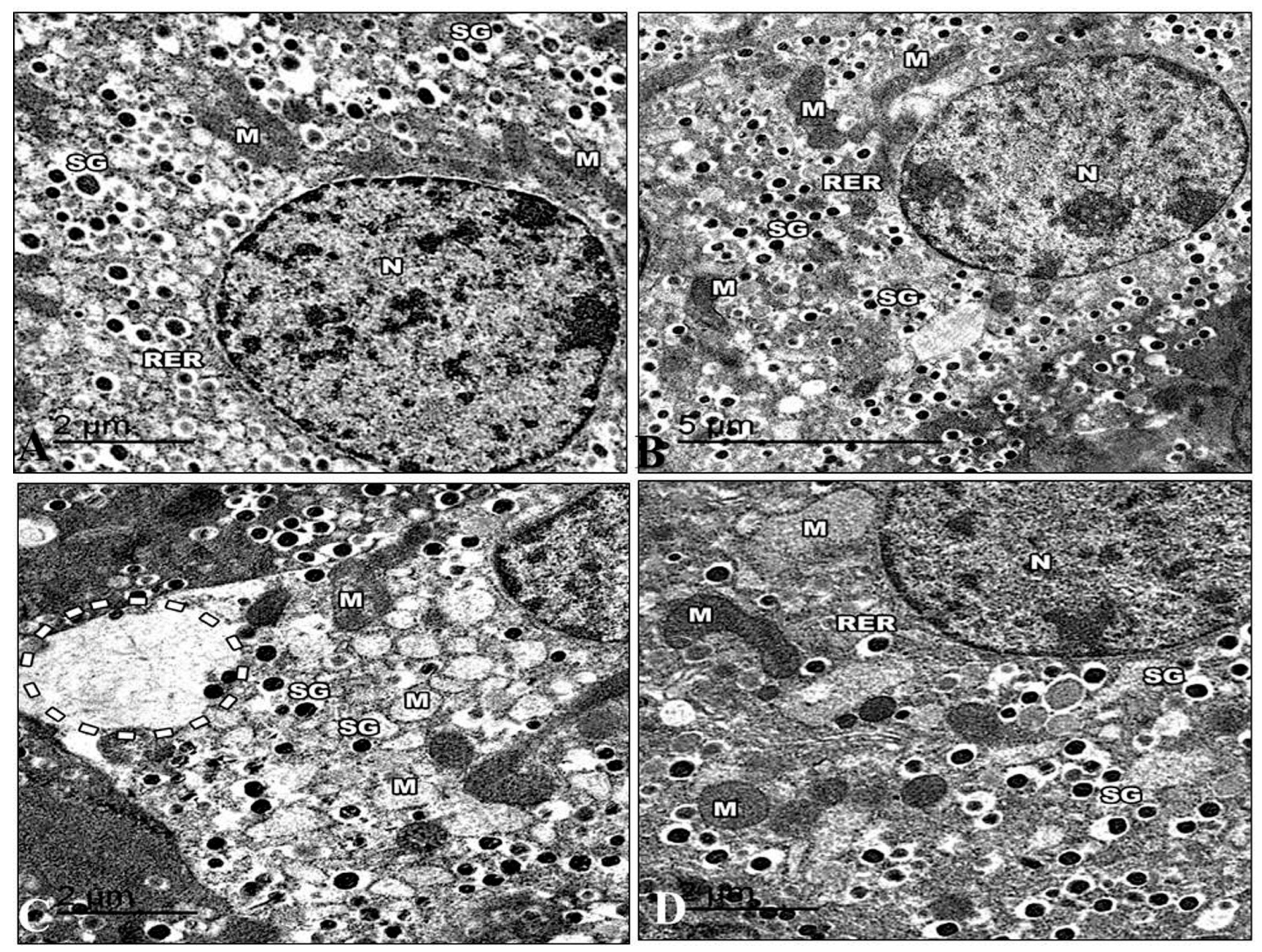 Life 13 01693 g014 Life 13 01693 g014