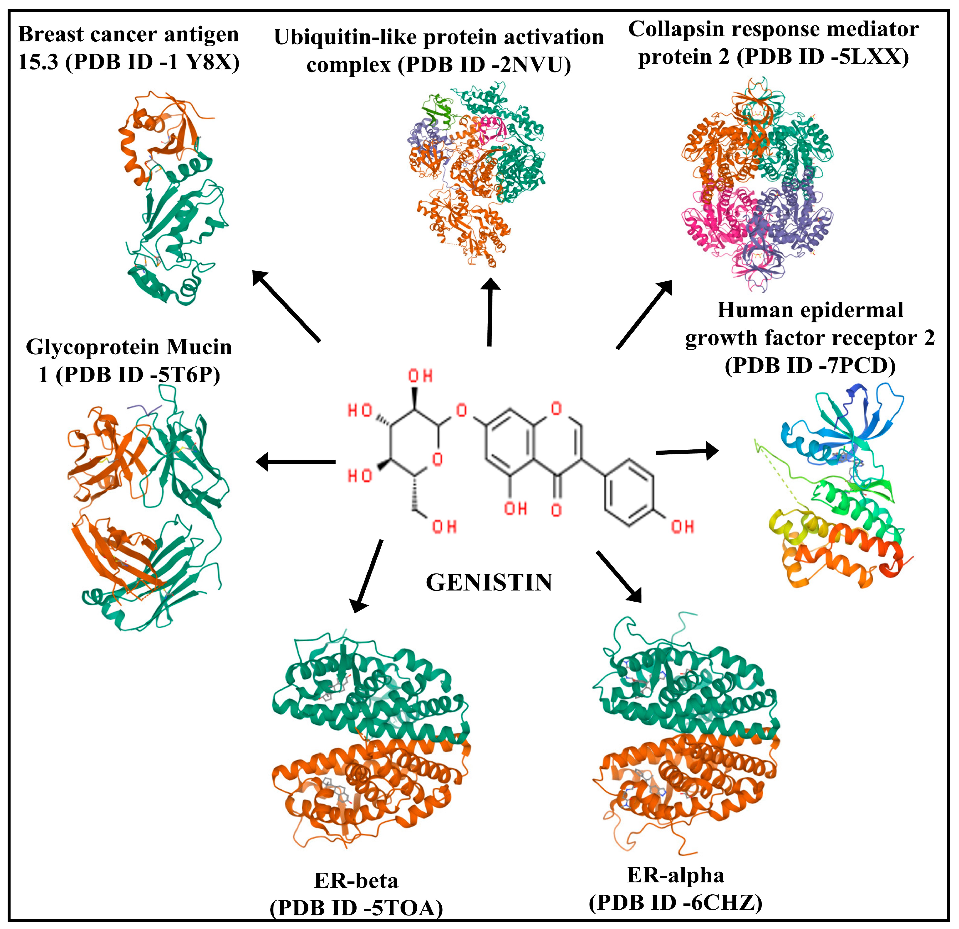 Life 13 01739 g001 Life 13 01739 g001