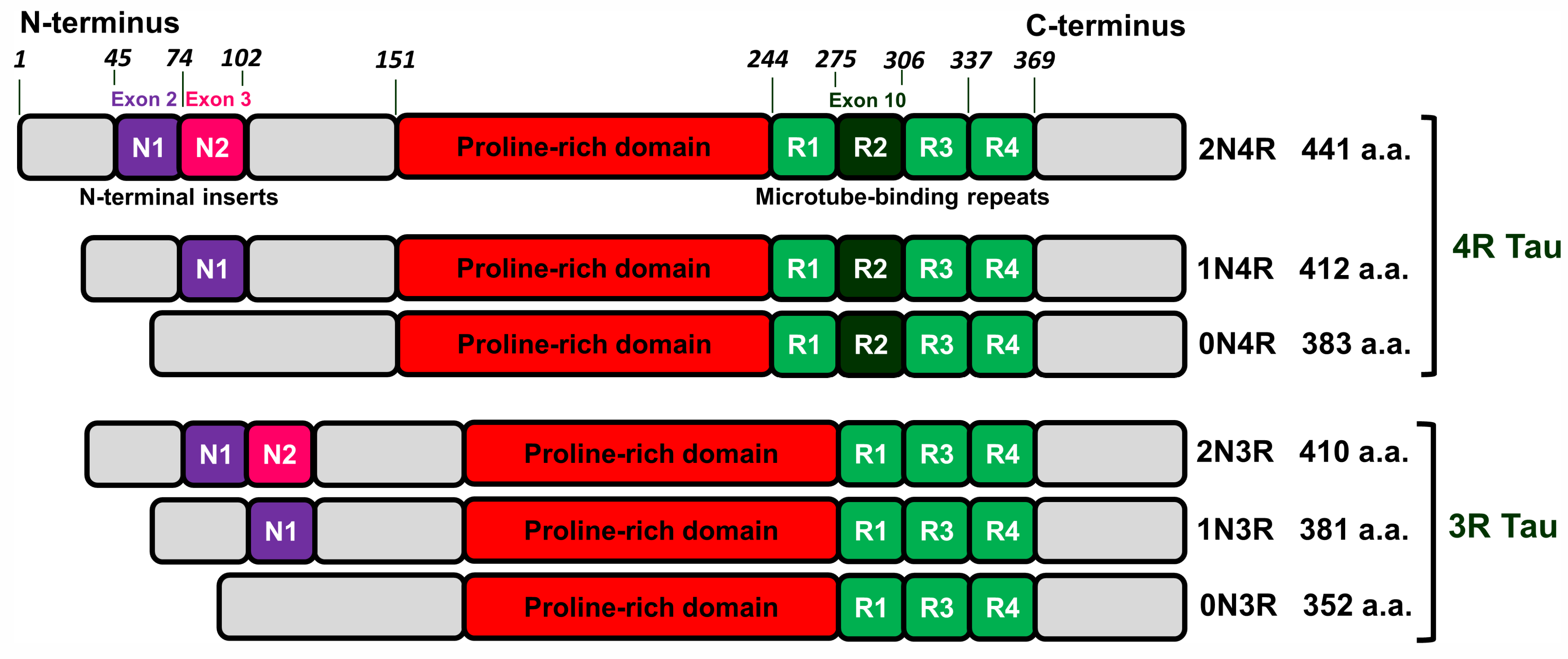 Life 13 01954 g001 Life 13 01954 g001