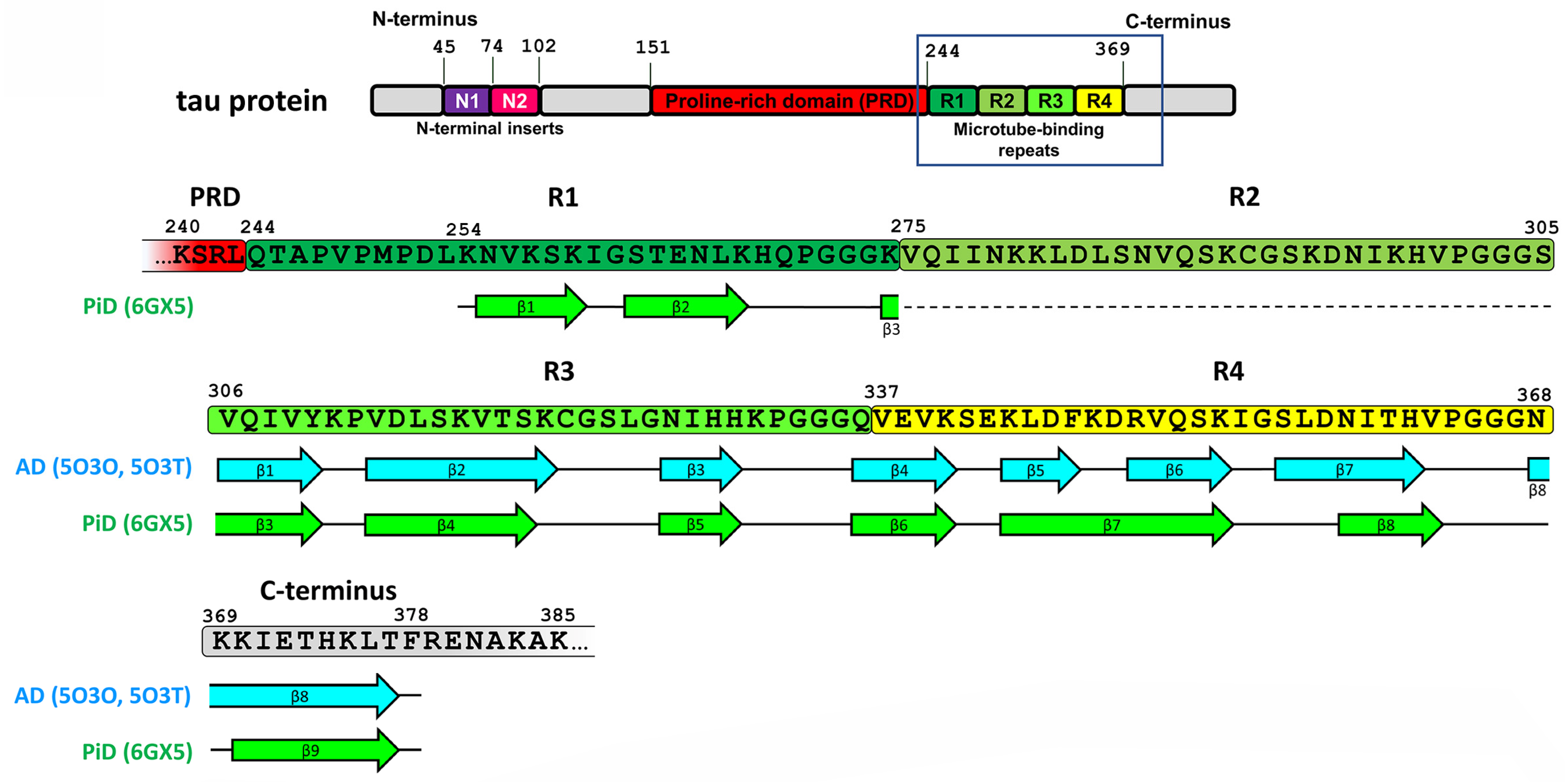 Life 13 01954 g002 Life 13 01954 g002