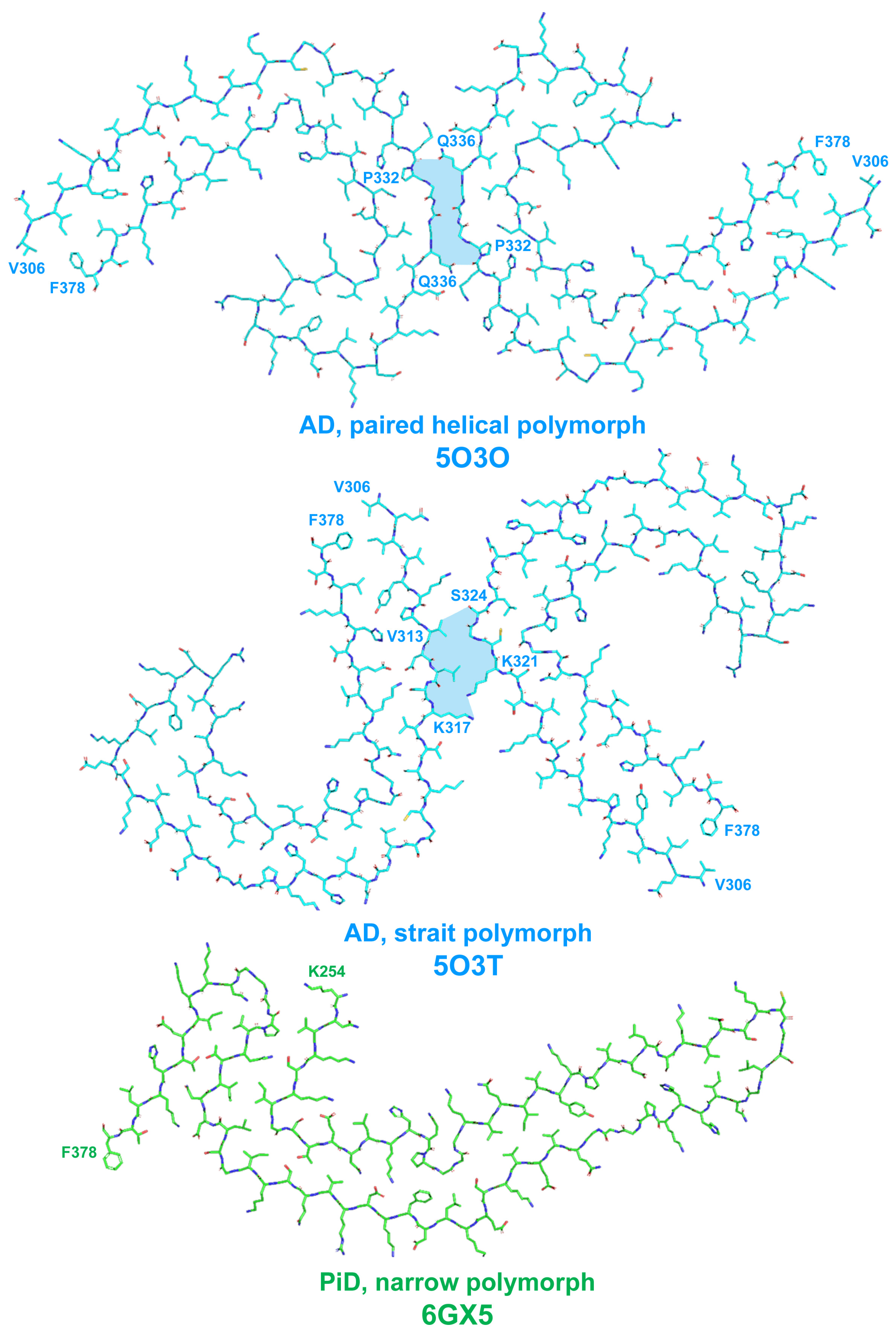 Life 13 01954 g003 Life 13 01954 g003