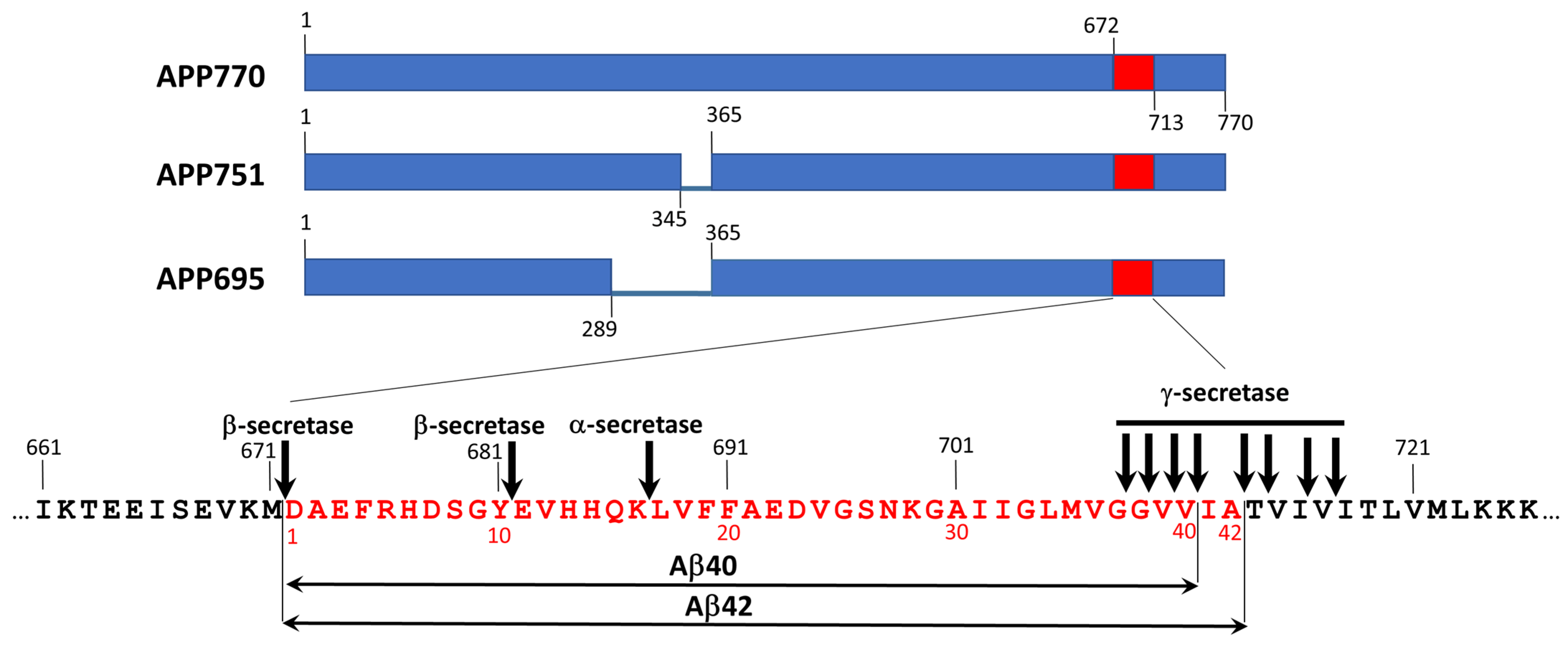 Life 13 01954 g004 Life 13 01954 g004