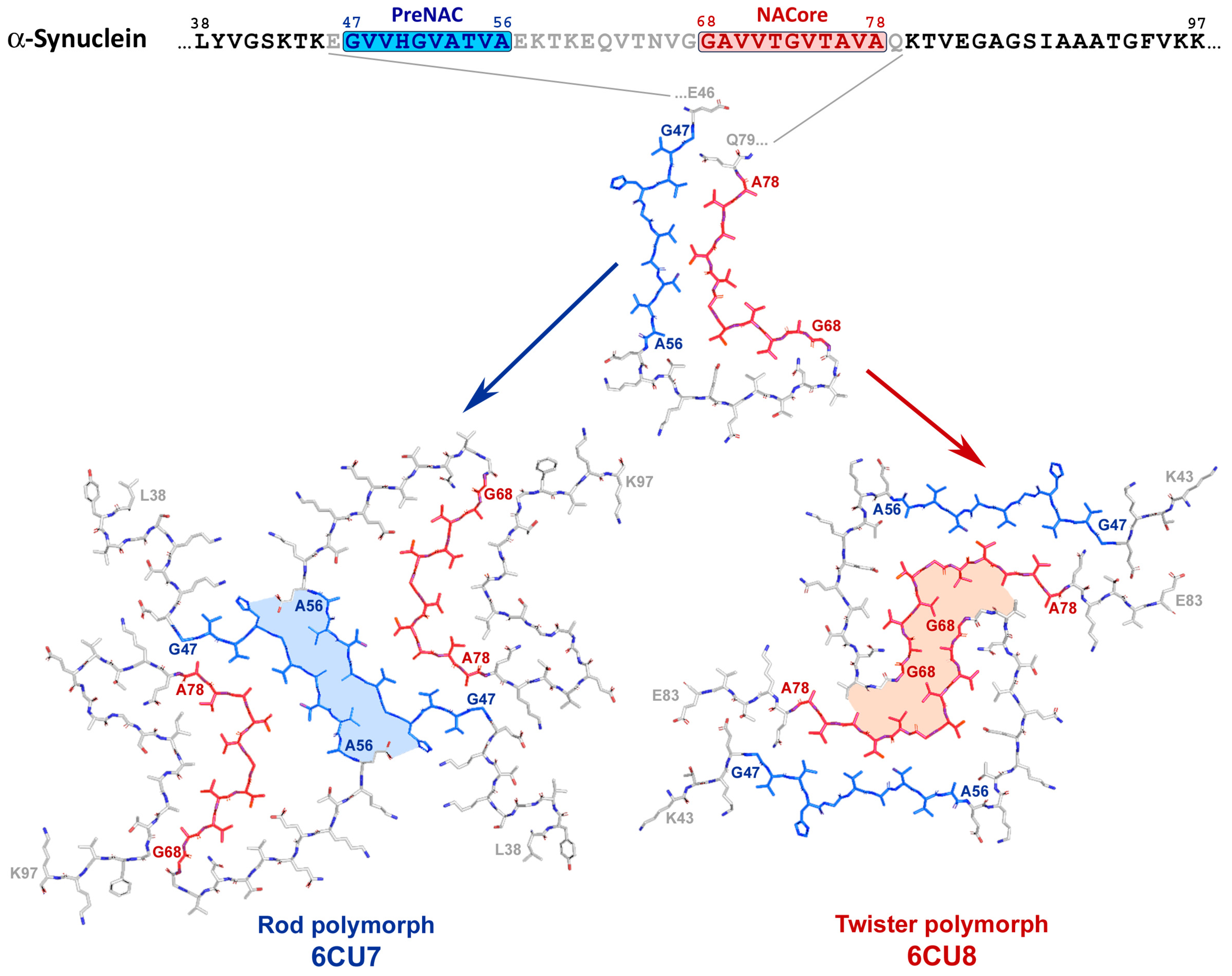 Life 13 01954 g007 Life 13 01954 g007