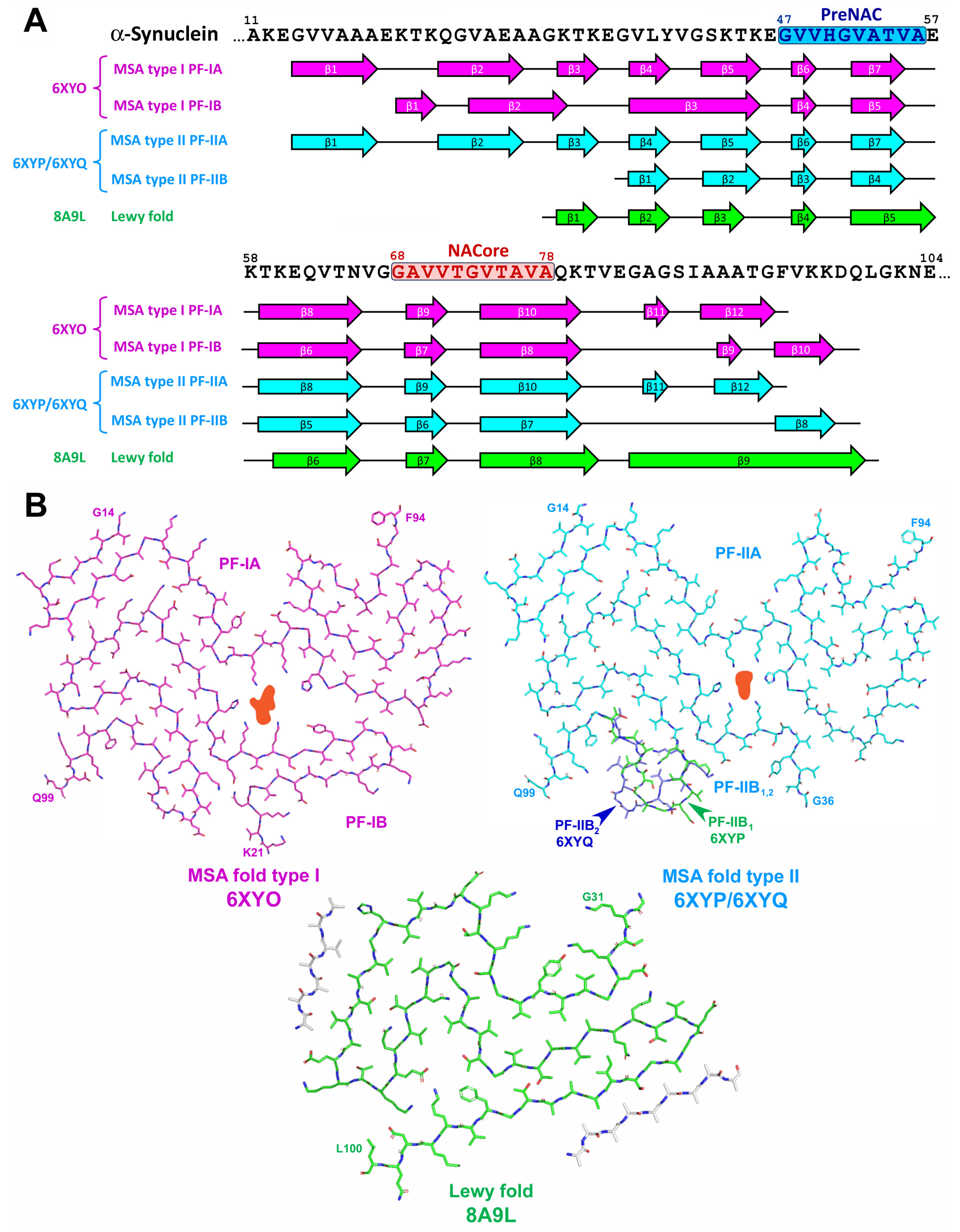Life 13 01954 g008 Life 13 01954 g008