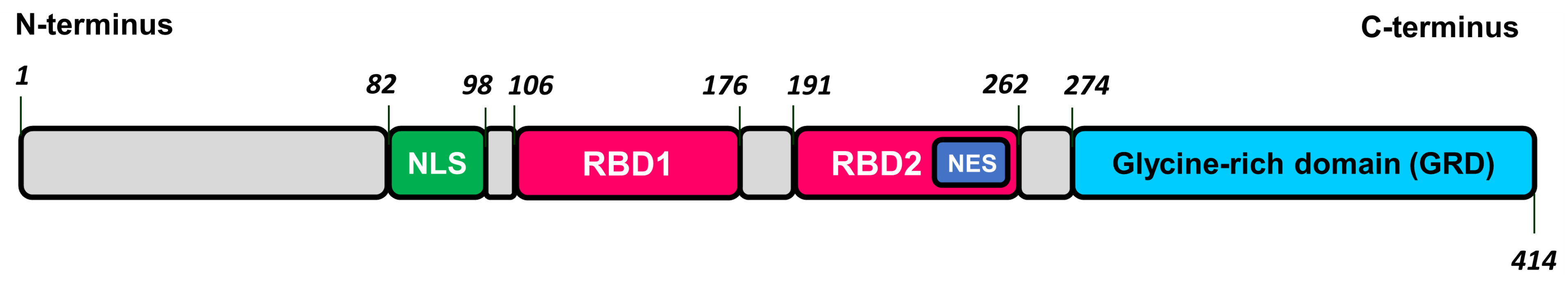 Life 13 01954 g009 Life 13 01954 g009
