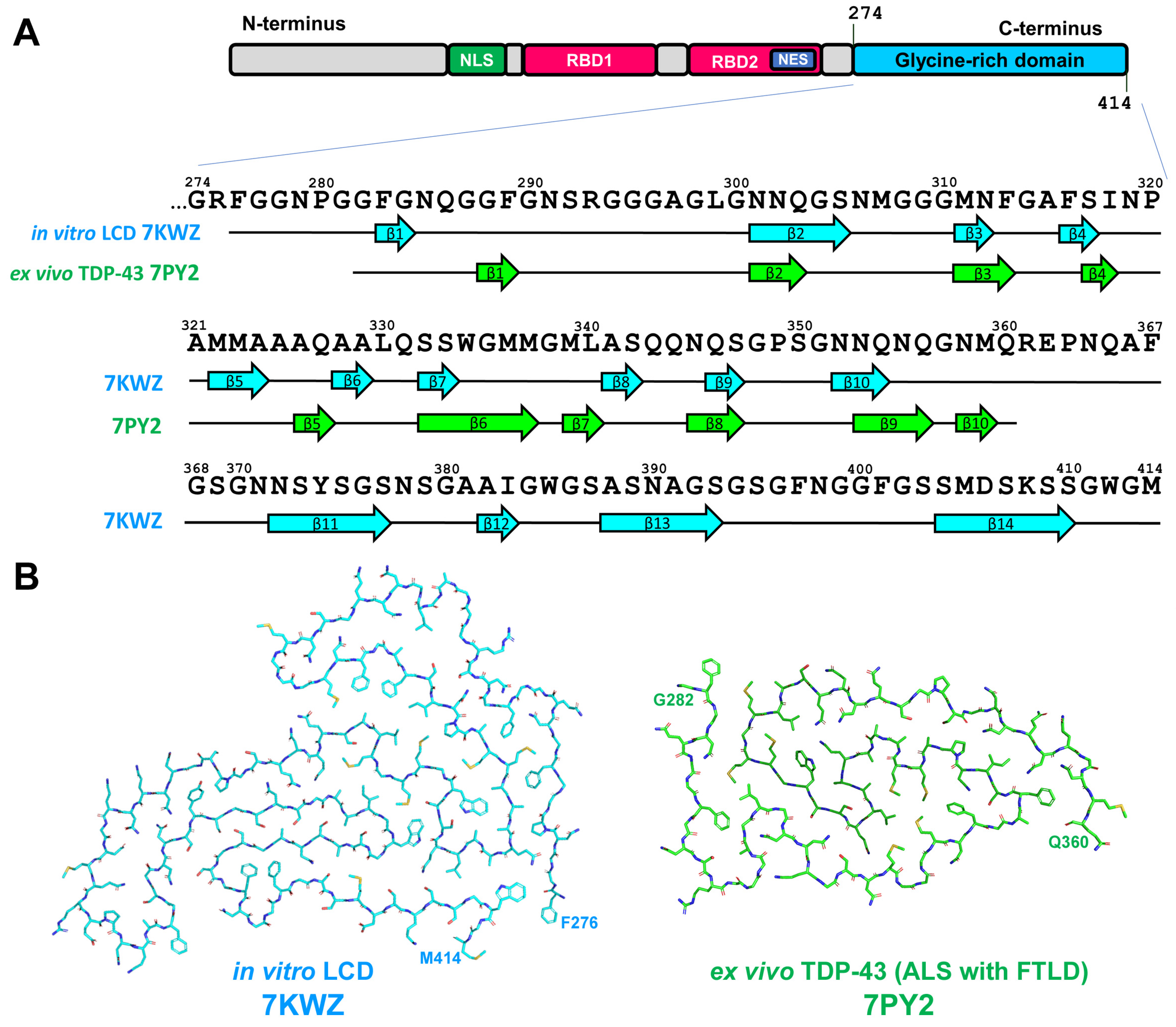 Life 13 01954 g010 Life 13 01954 g010