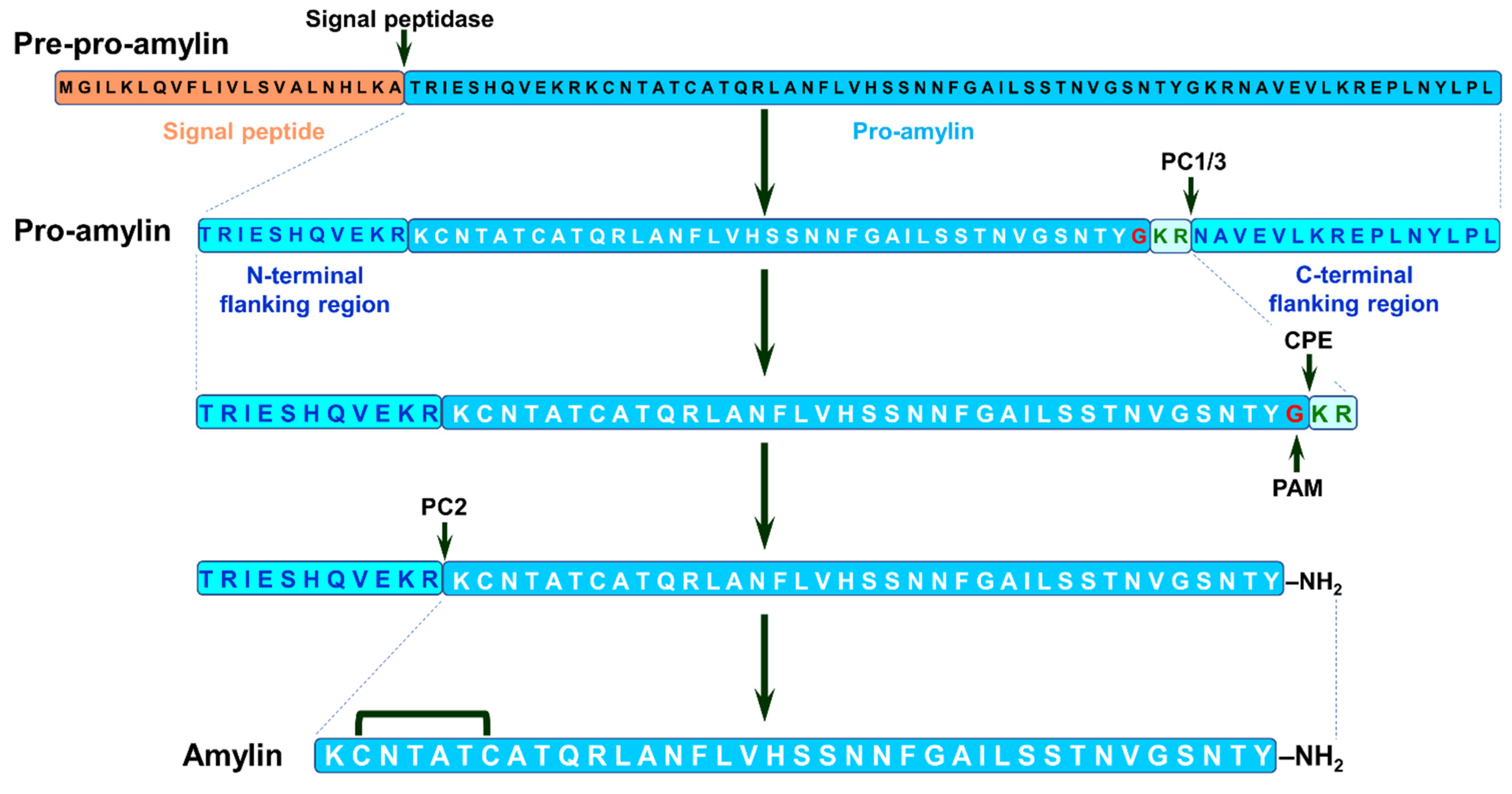 Life 13 01954 g011 Life 13 01954 g011