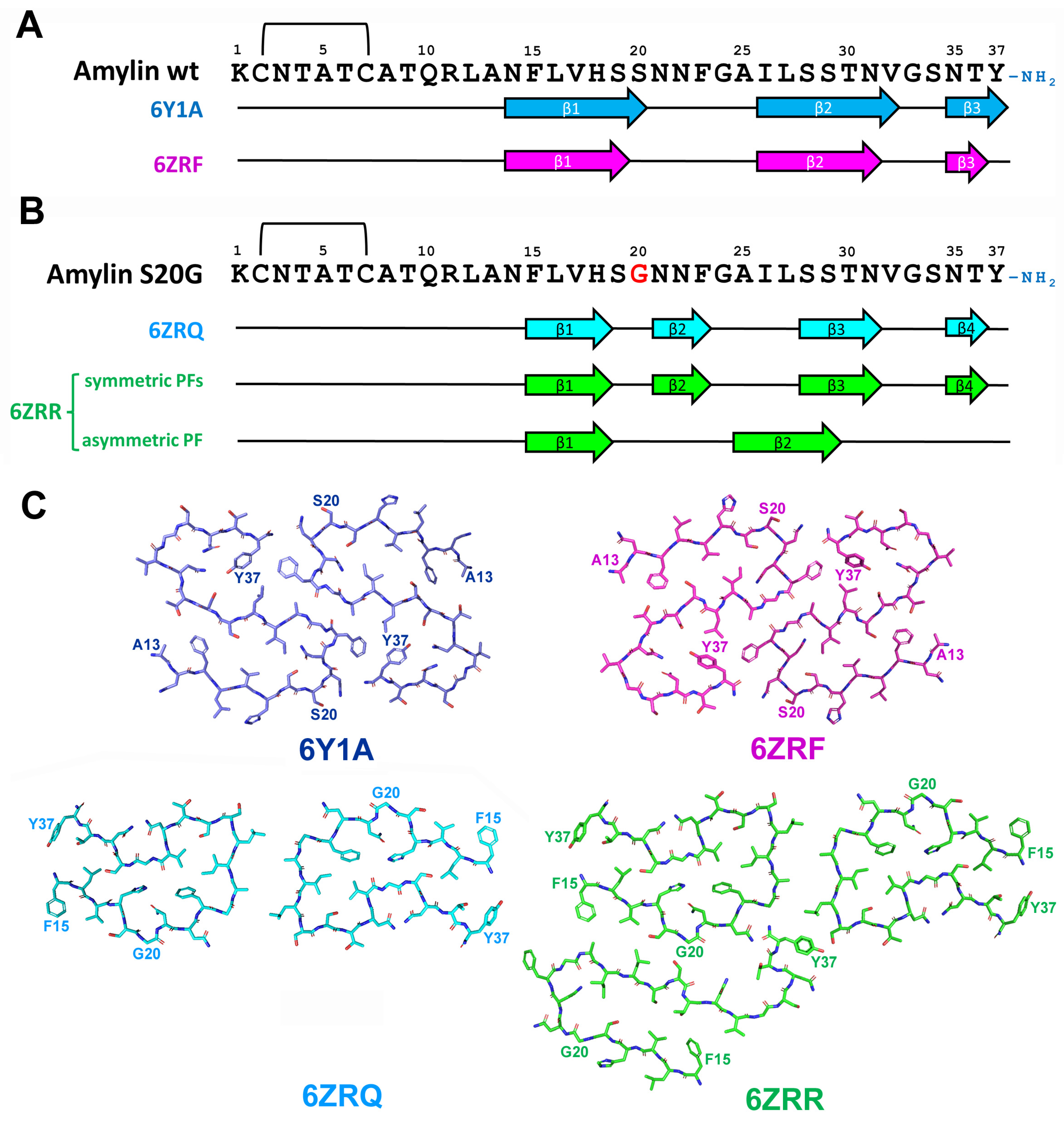 Life 13 01954 g012 Life 13 01954 g012
