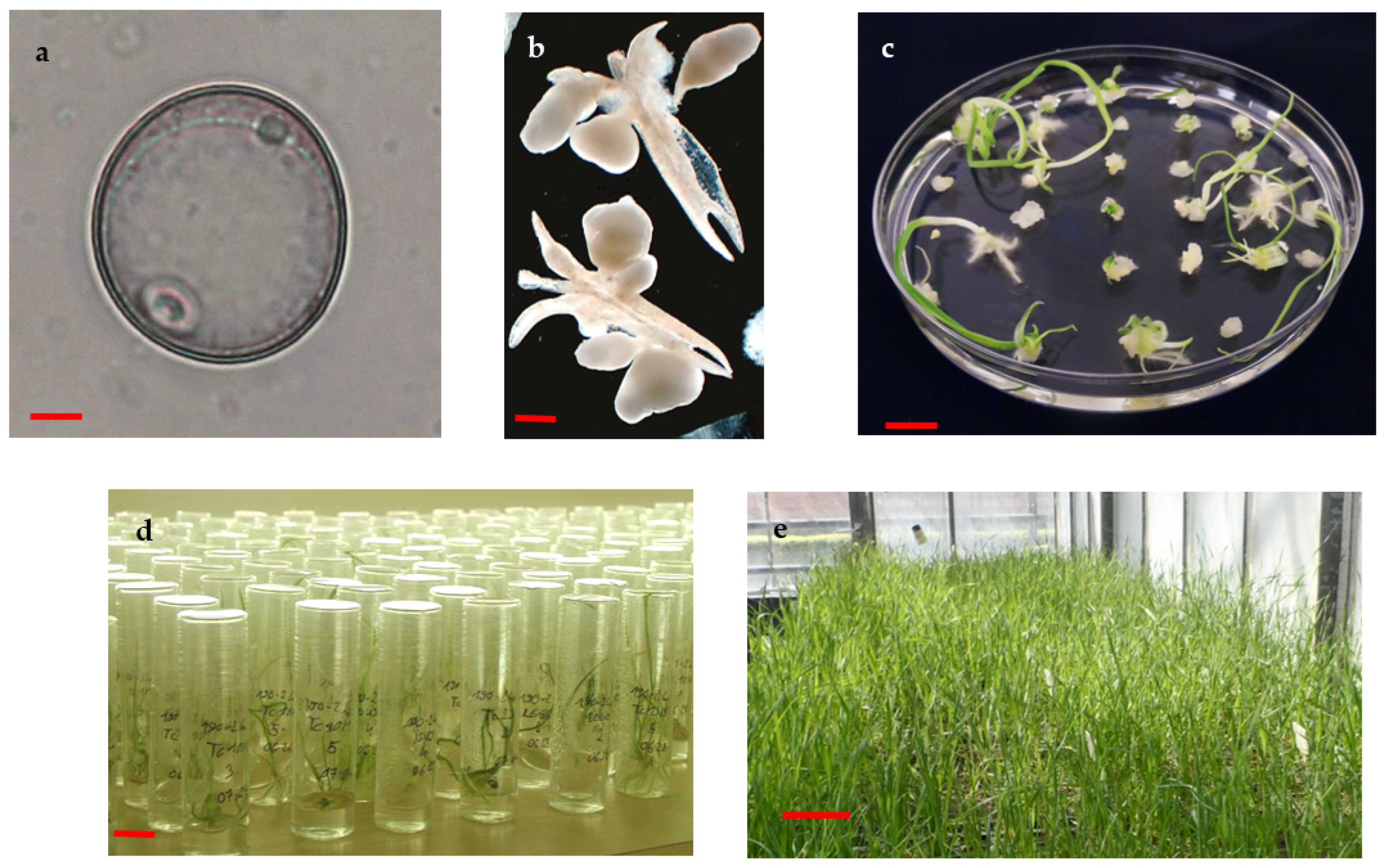 Life 13 01970 g001 Life 13 01970 g001