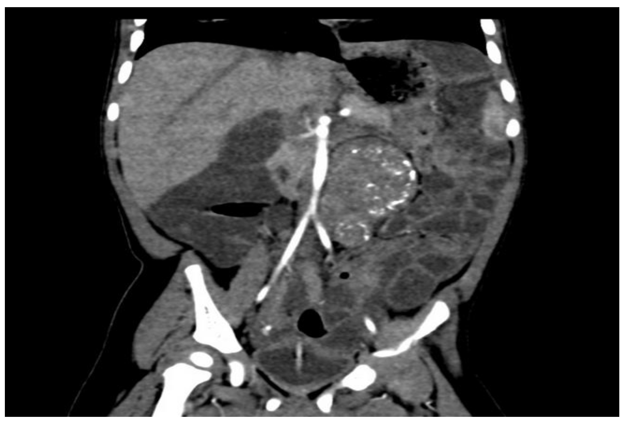 Life 13 01974 g002 Life 13 01974 g002