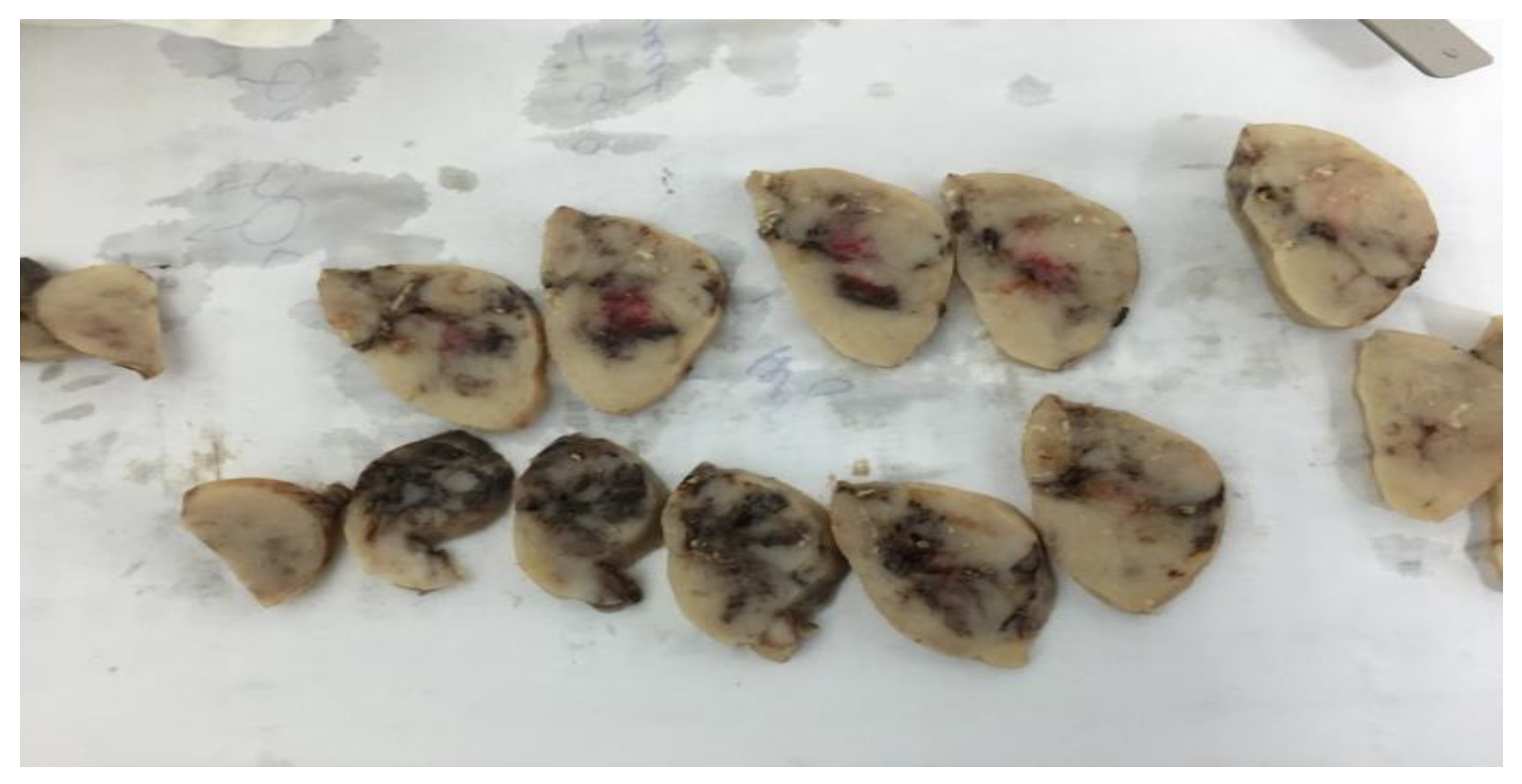 Life 13 01974 g003 Life 13 01974 g003