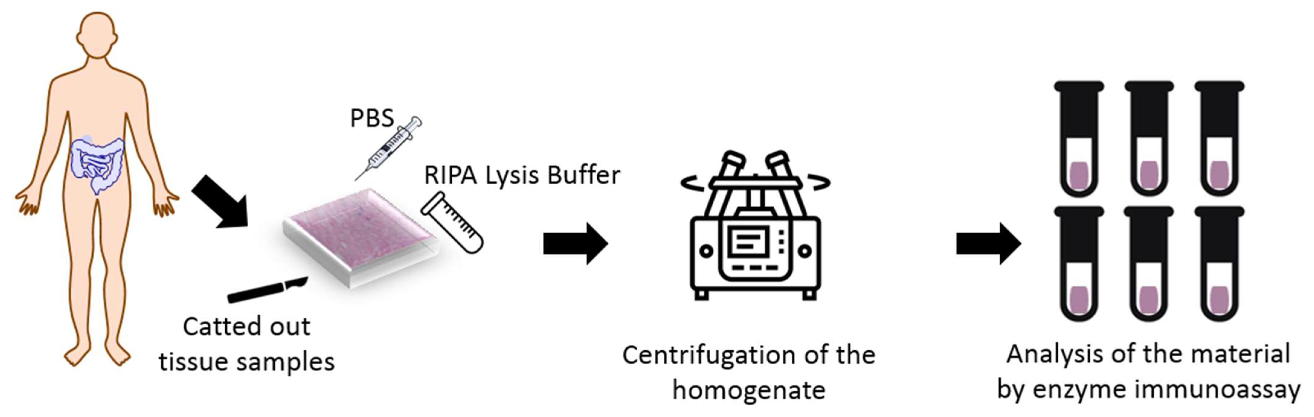 Life 13 02013 g001 Life 13 02013 g001