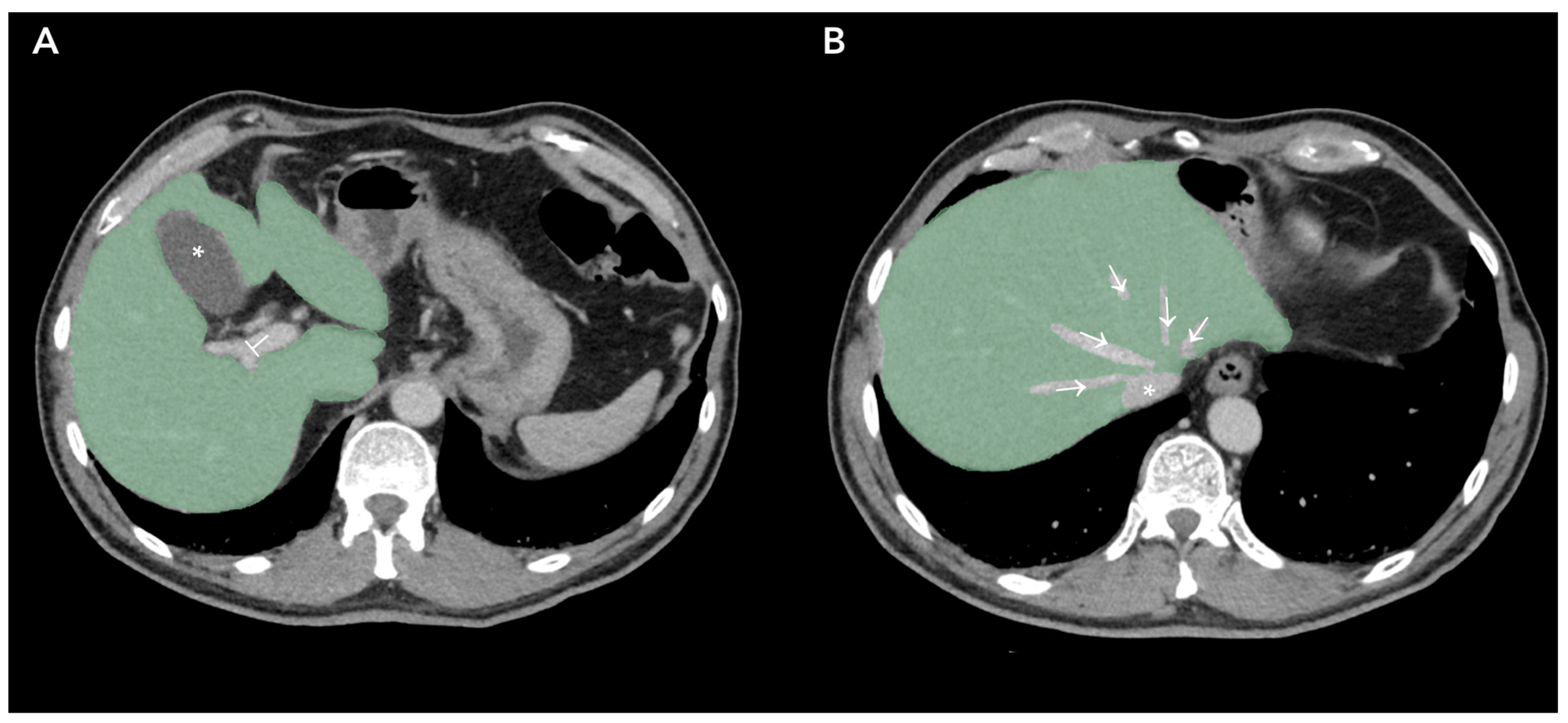 Life 13 02027 g002 Life 13 02027 g002