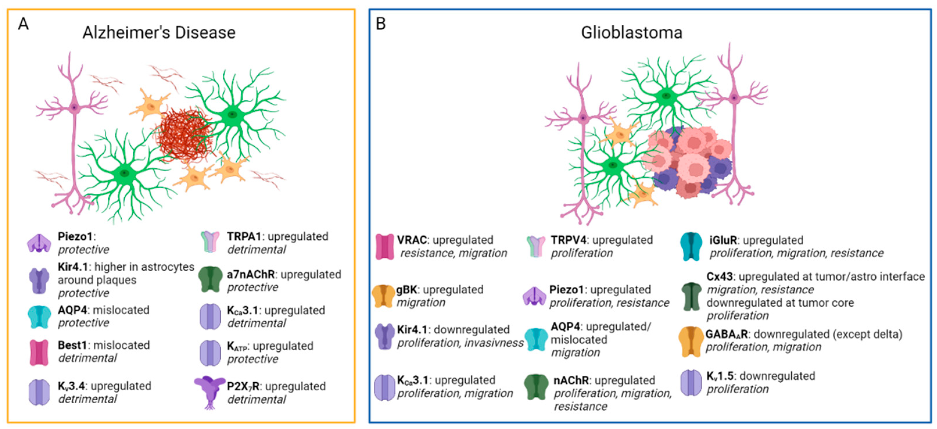 Life 13 02038 g002 Life 13 02038 g002