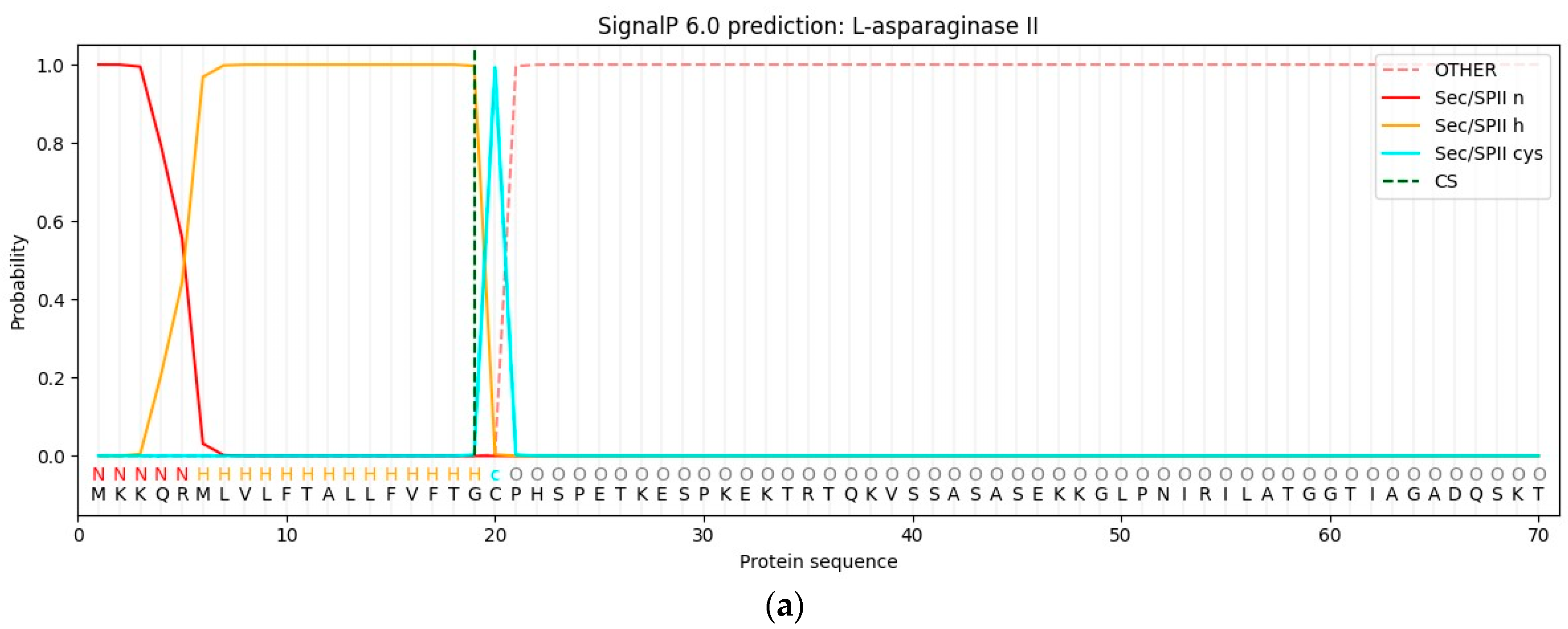 Life 13 02145 g001a Life 13 02145 g001a
