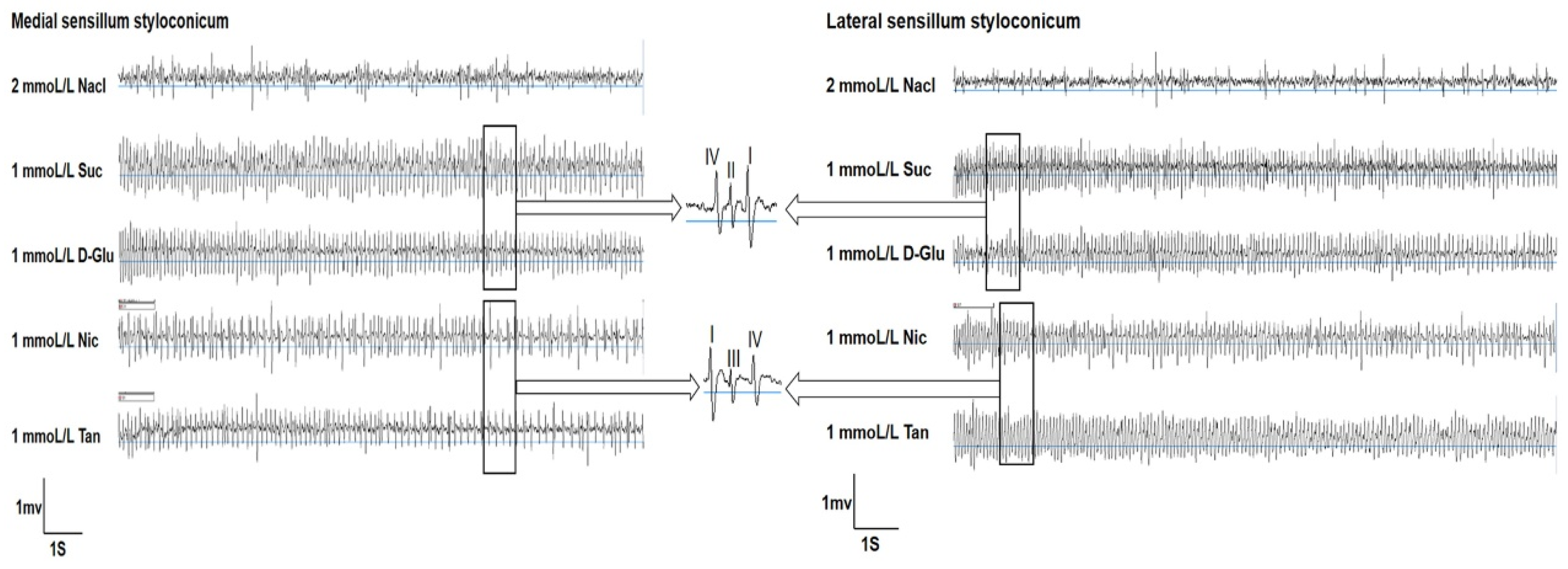 Life 13 02174 g001 Life 13 02174 g001