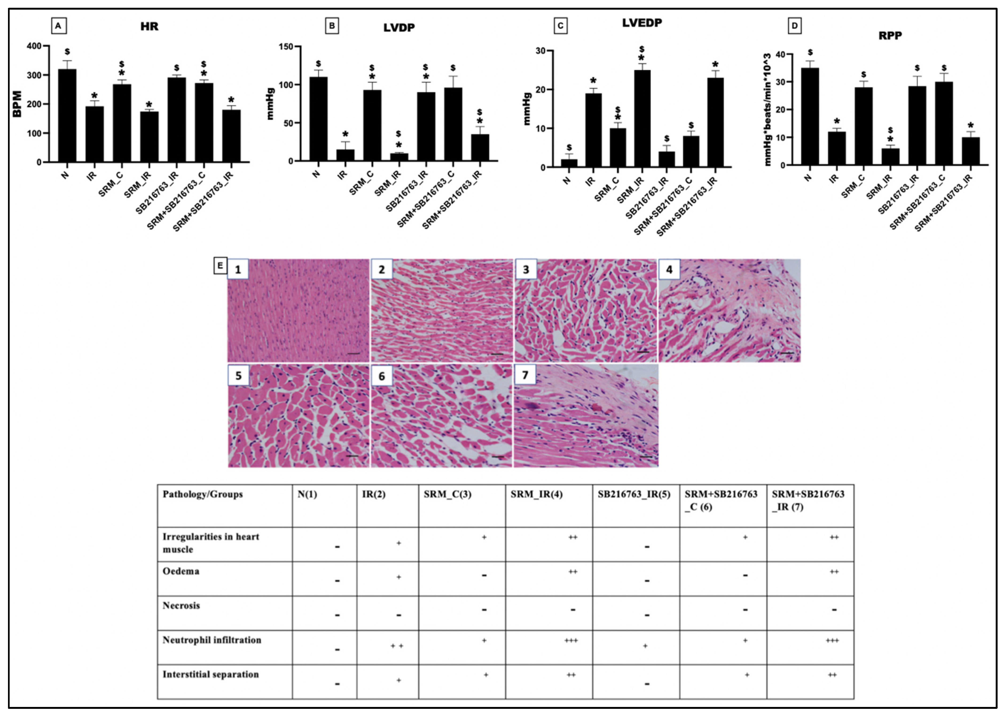 Life 13 02234 g002 Life 13 02234 g002