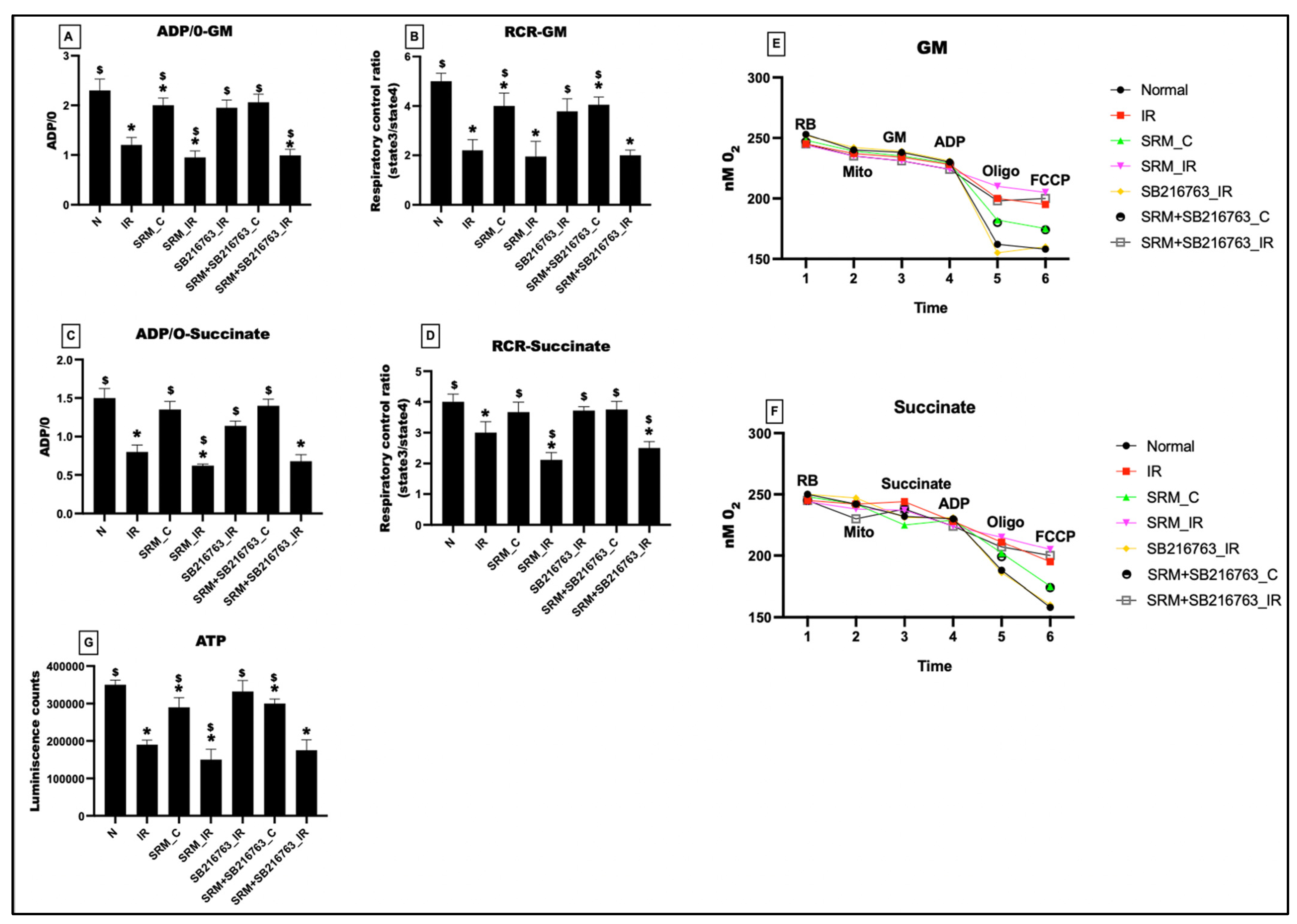Life 13 02234 g003 Life 13 02234 g003