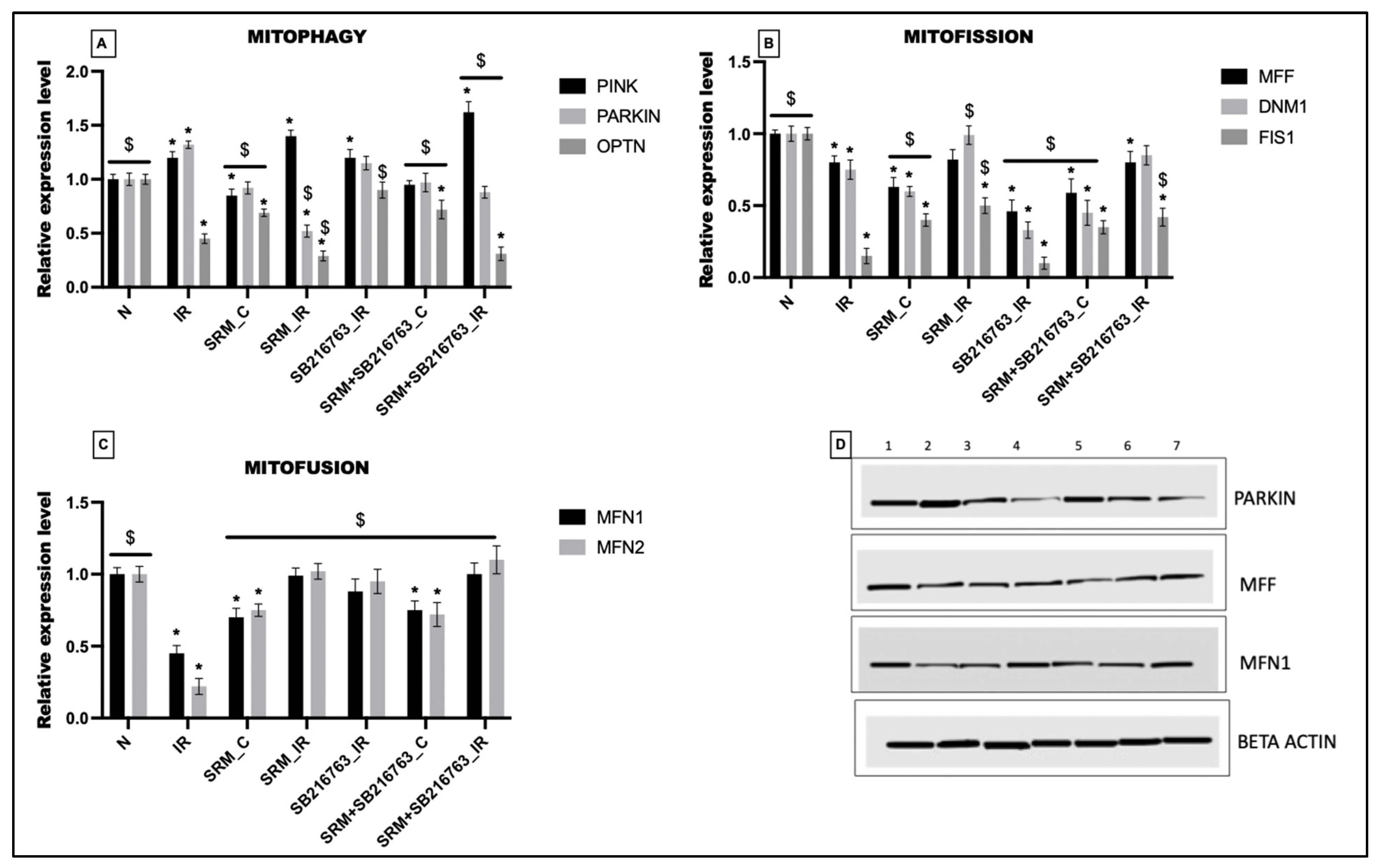 Life 13 02234 g004 Life 13 02234 g004