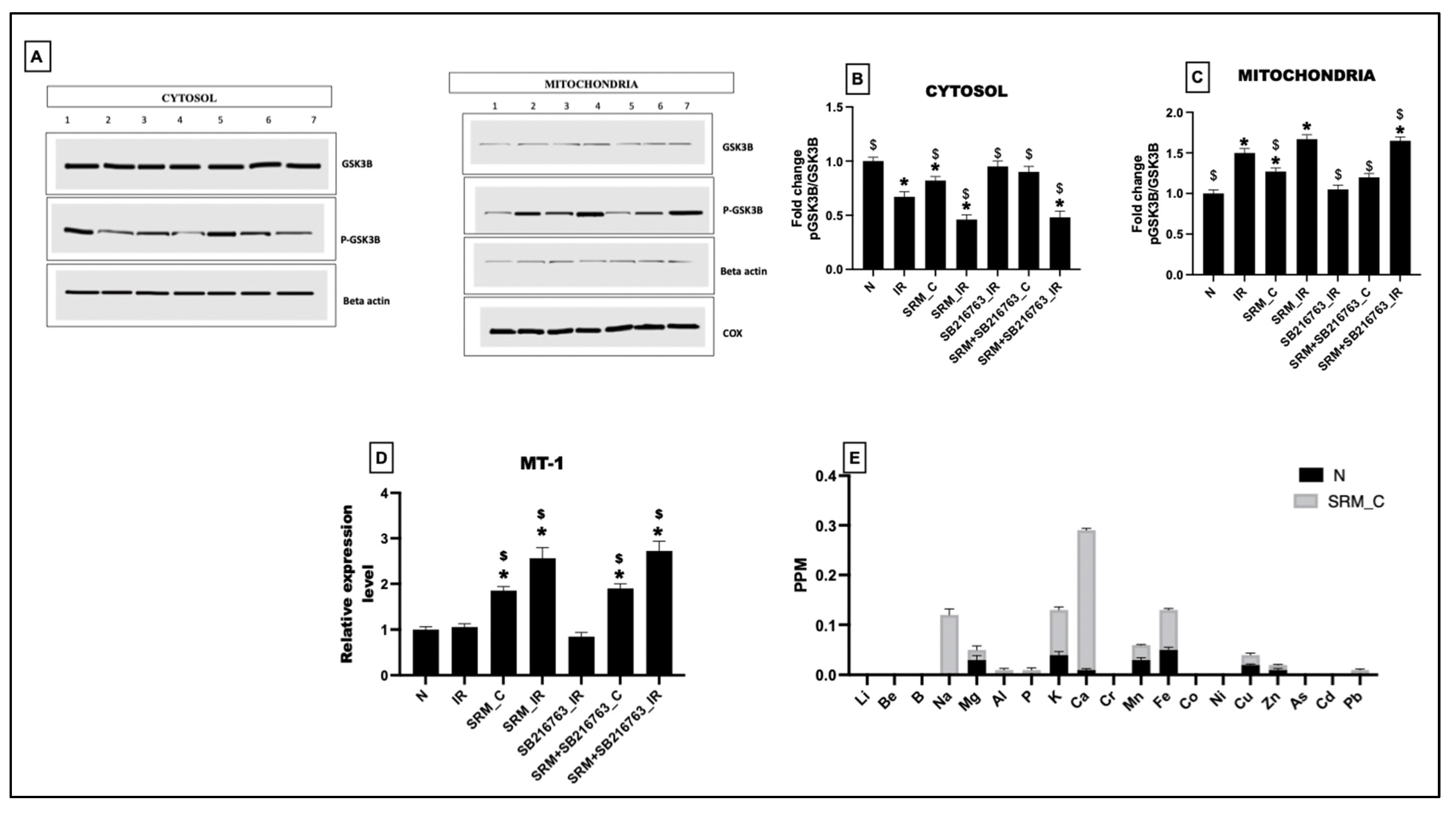 Life 13 02234 g008 Life 13 02234 g008