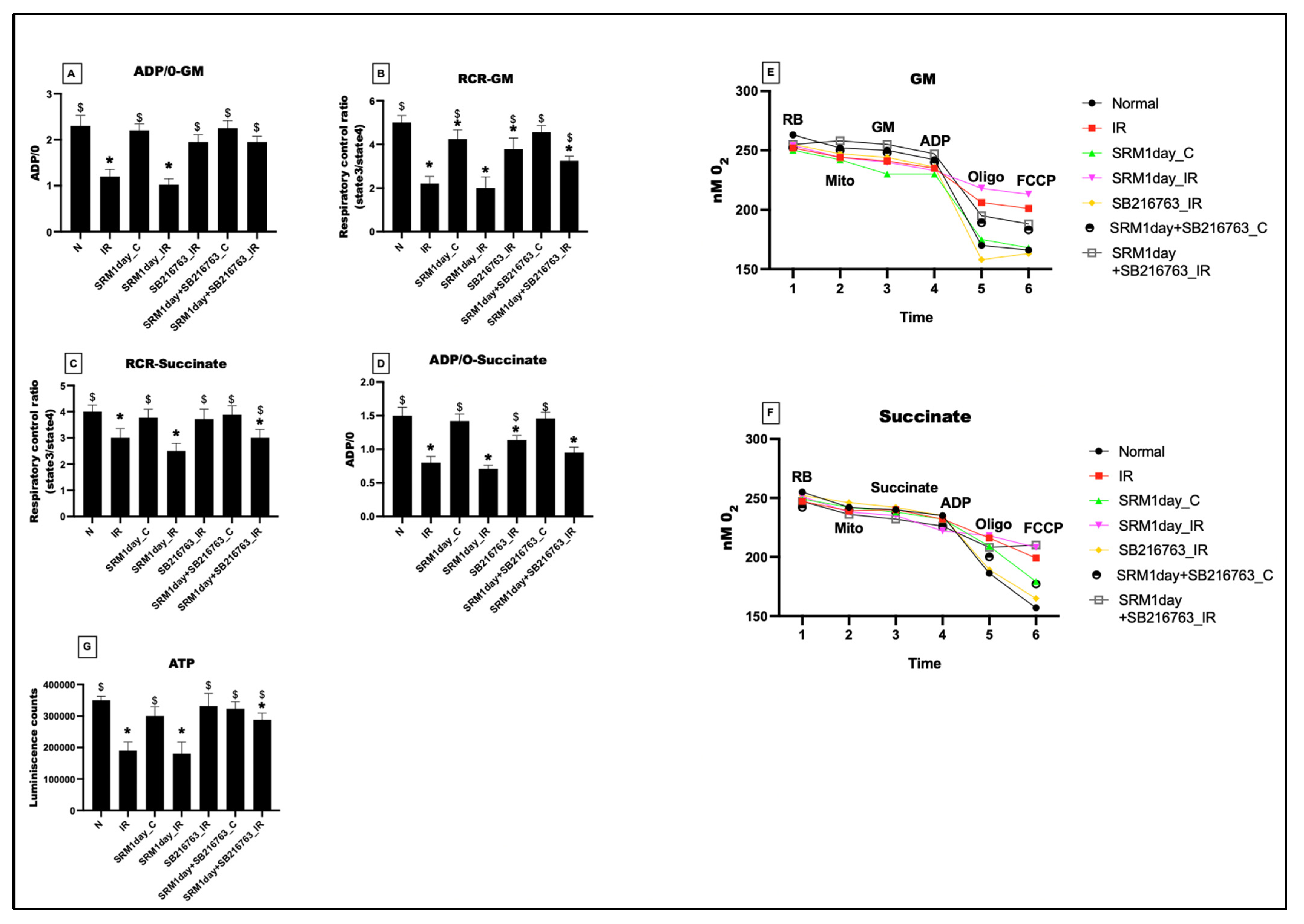 Life 13 02234 g009 Life 13 02234 g009